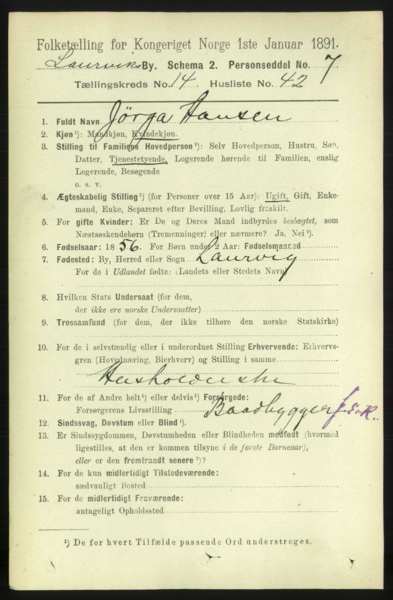 RA, 1891 census for 0707 Larvik, 1891, p. 11324