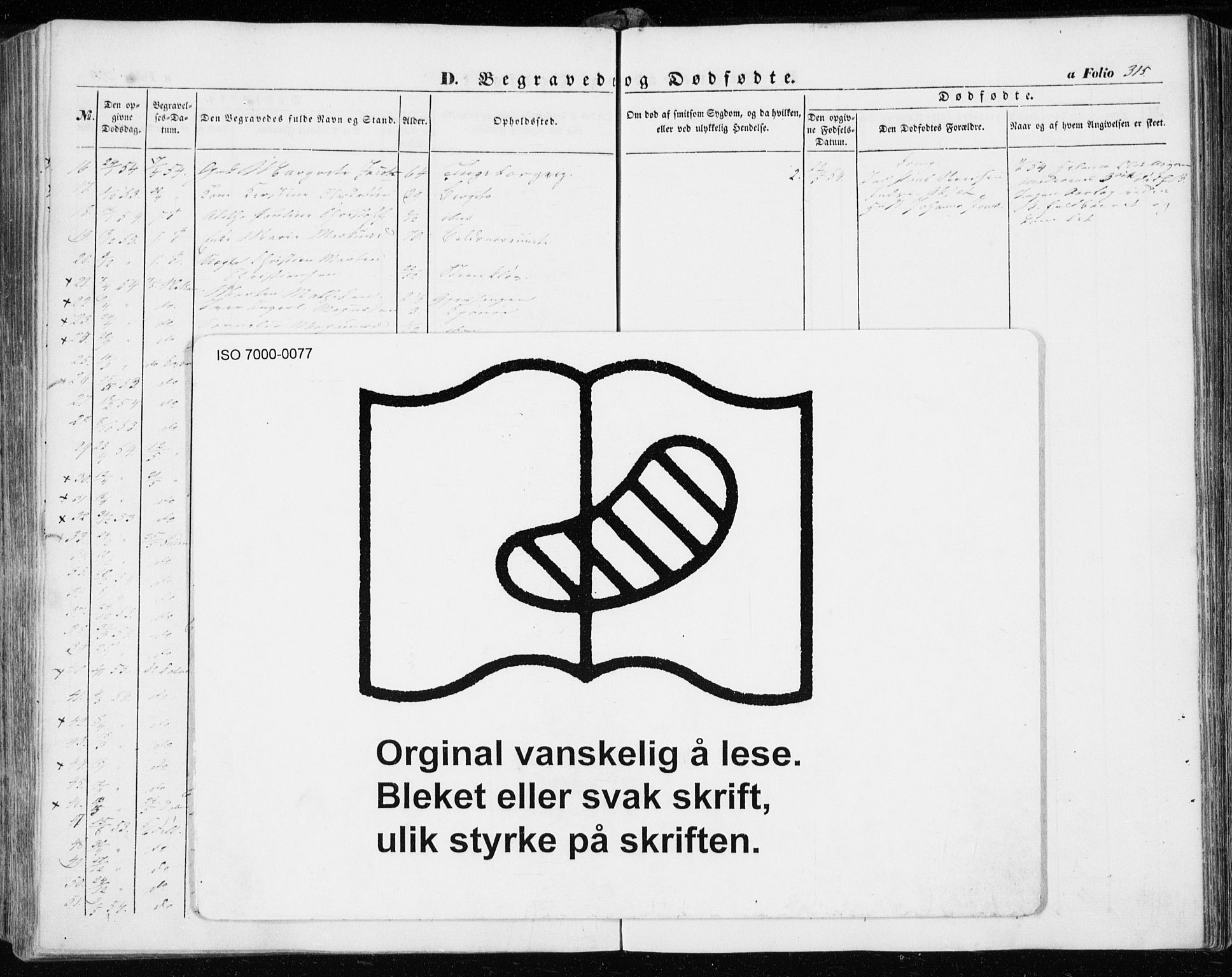 Ministerialprotokoller, klokkerbøker og fødselsregistre - Sør-Trøndelag, AV/SAT-A-1456/634/L0530: Parish register (official) no. 634A06, 1852-1860, p. 315