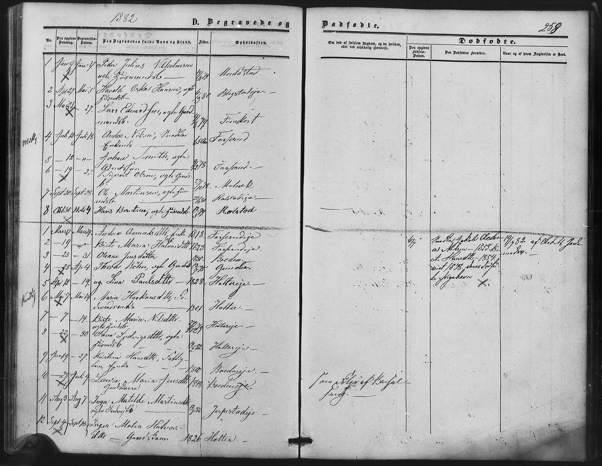 Nes prestekontor Kirkebøker, AV/SAO-A-10410/F/Fb/L0001: Parish register (official) no. II 1, 1859-1882, p. 258