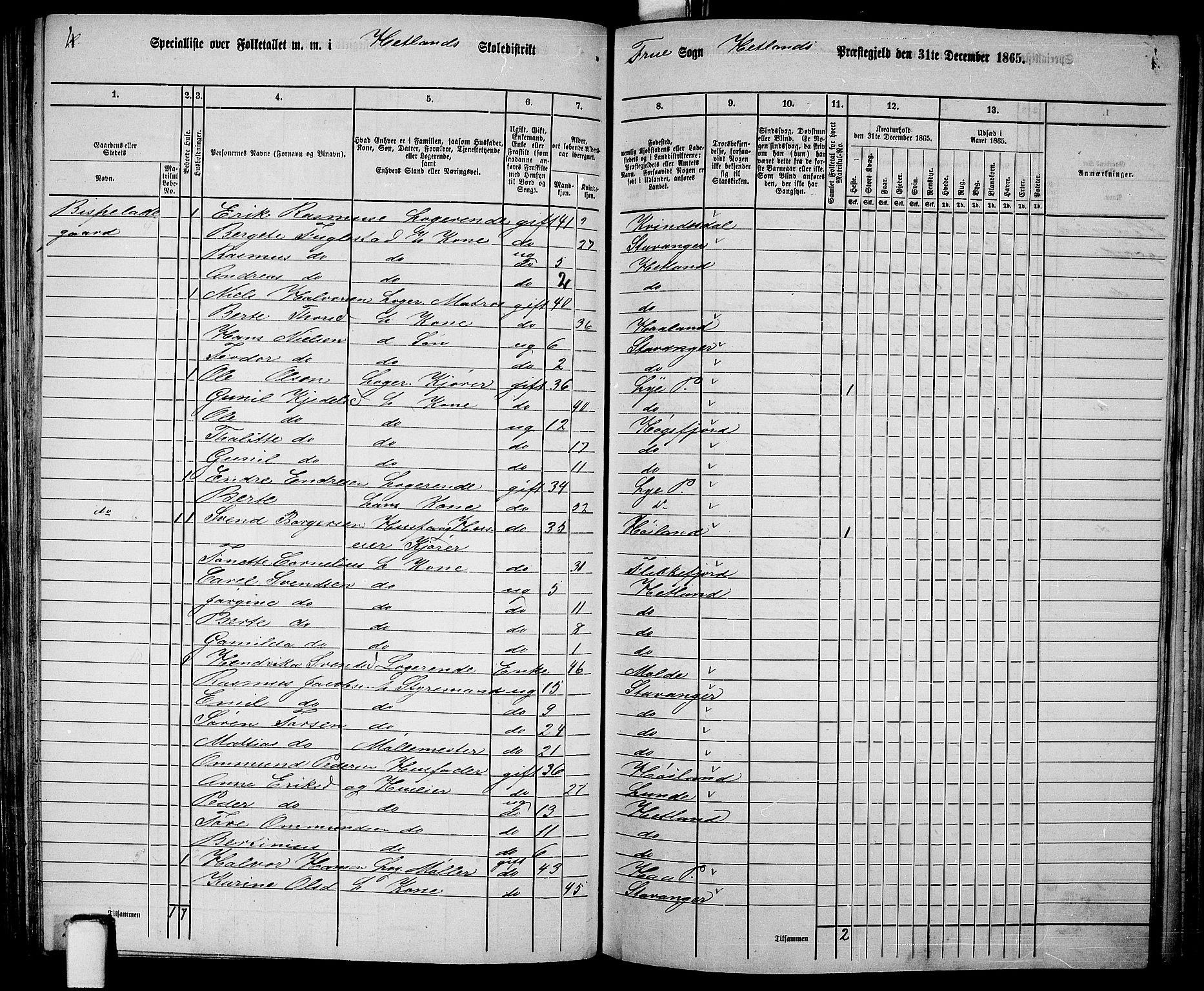 RA, 1865 census for Hetland, 1865, p. 131