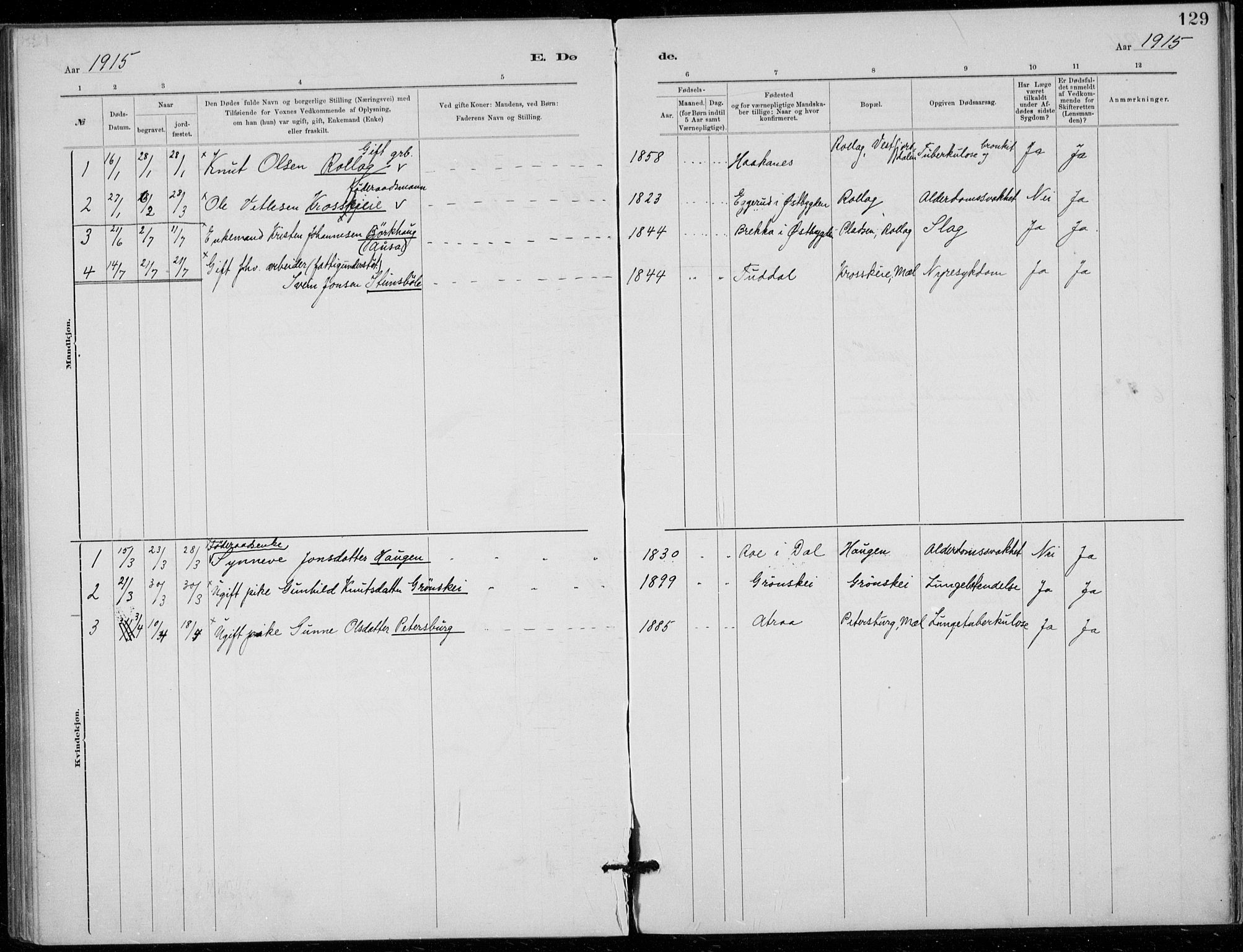 Tinn kirkebøker, SAKO/A-308/F/Fb/L0002: Parish register (official) no. II 2, 1878-1917, p. 129