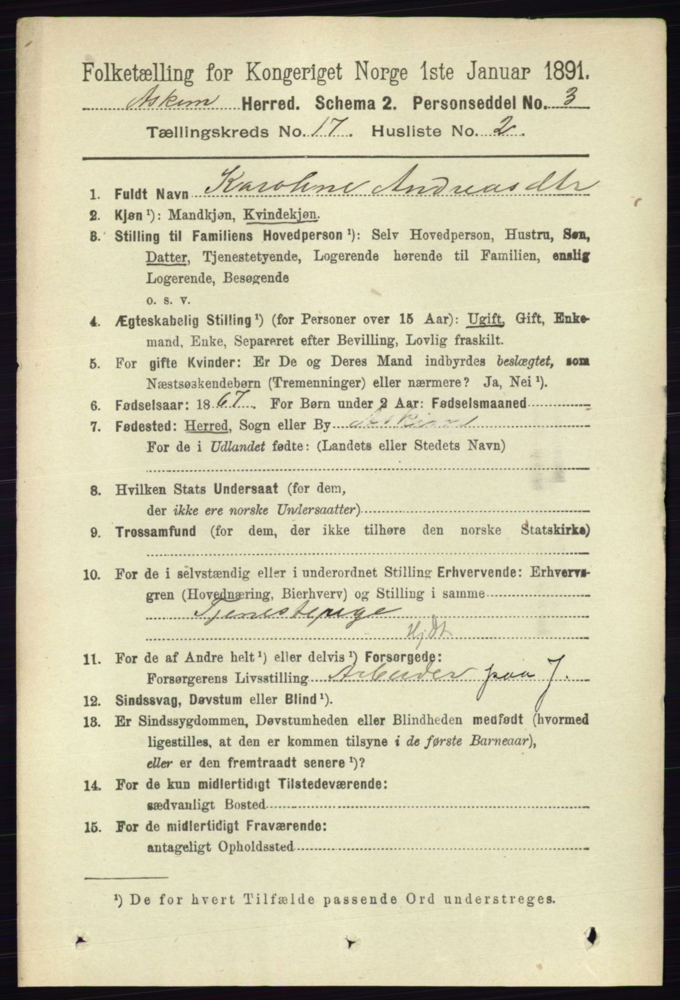 RA, 1891 census for 0124 Askim, 1891, p. 2863