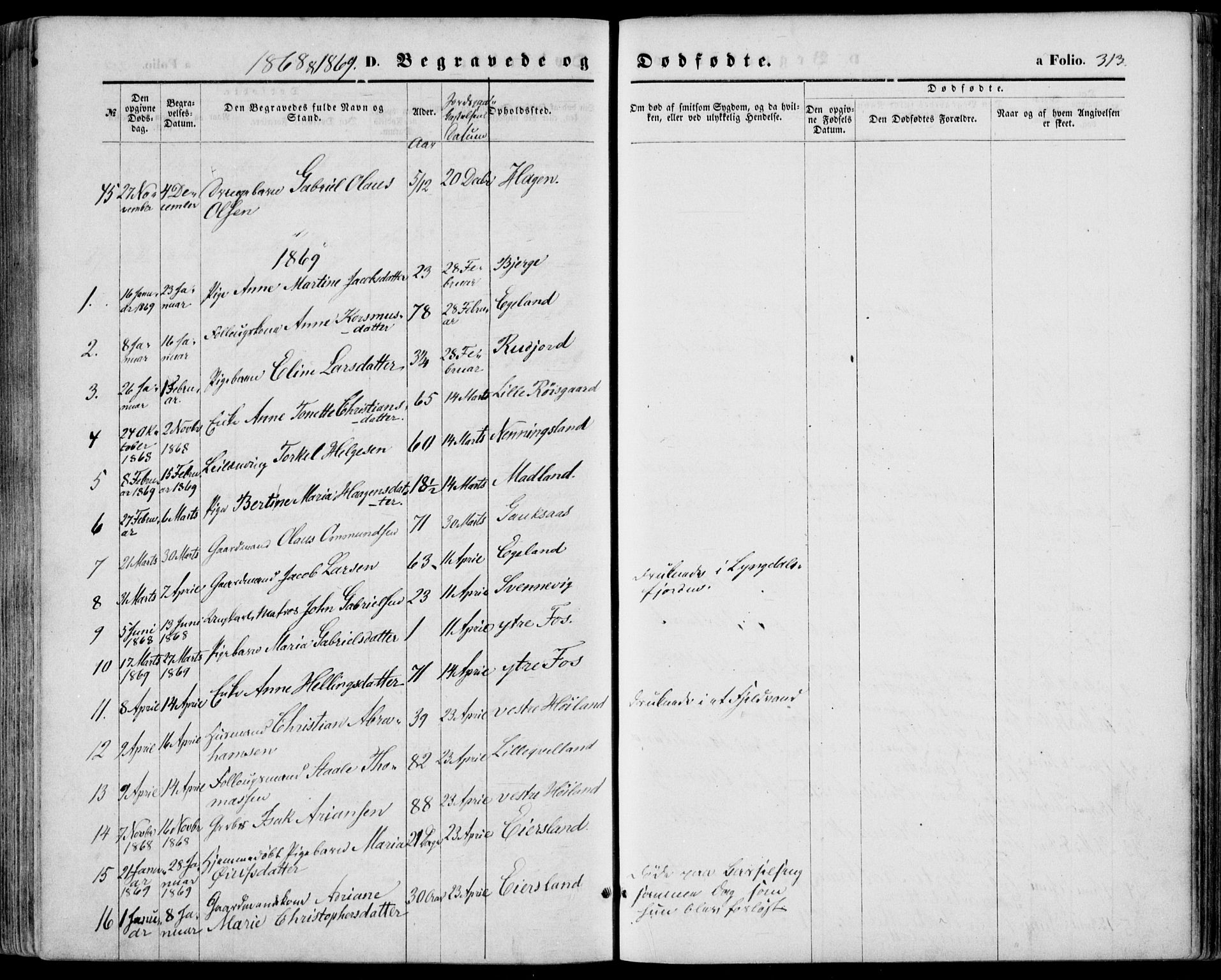 Lyngdal sokneprestkontor, SAK/1111-0029/F/Fa/Fac/L0010: Parish register (official) no. A 10, 1865-1878, p. 313