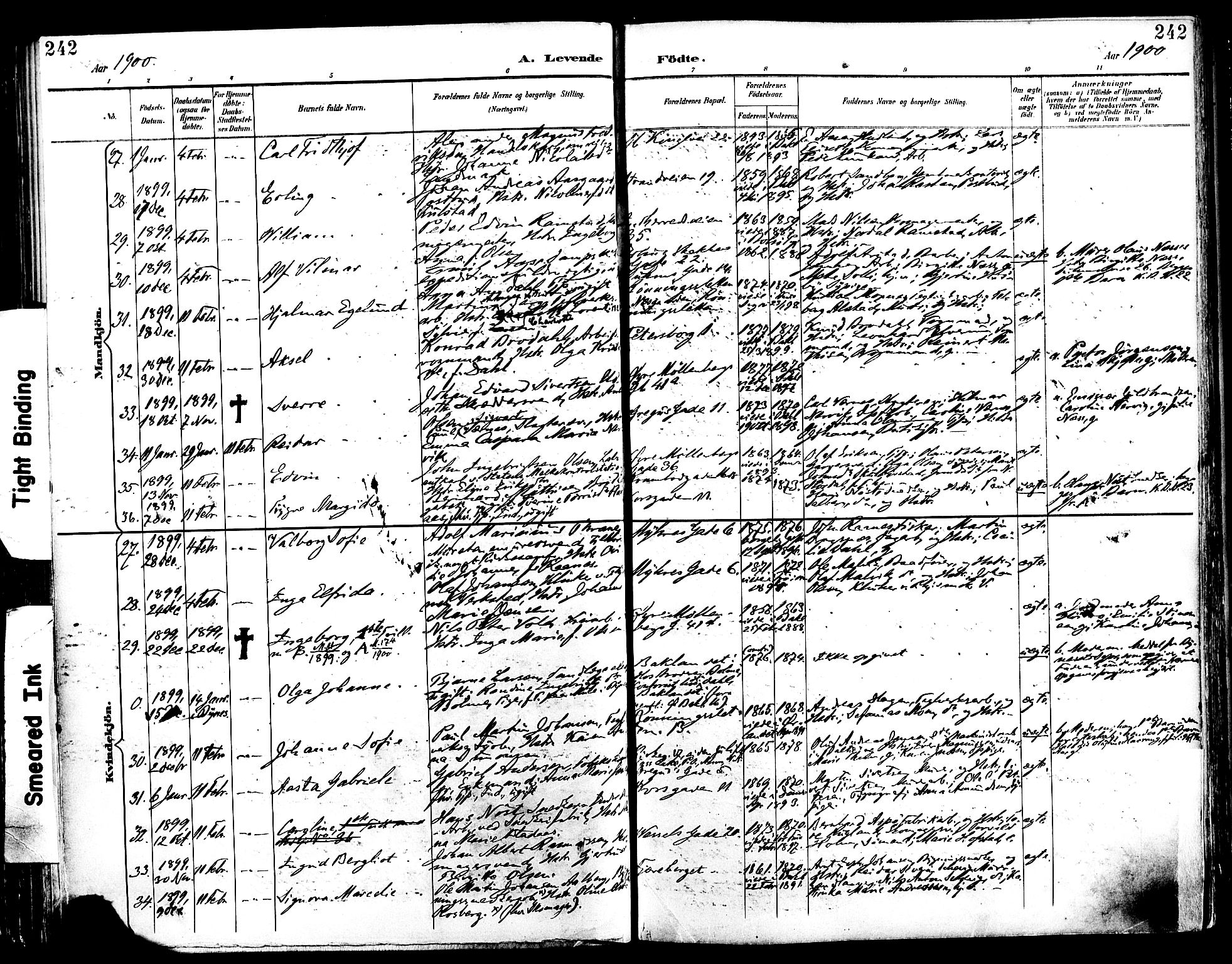 Ministerialprotokoller, klokkerbøker og fødselsregistre - Sør-Trøndelag, SAT/A-1456/604/L0197: Parish register (official) no. 604A18, 1893-1900, p. 242