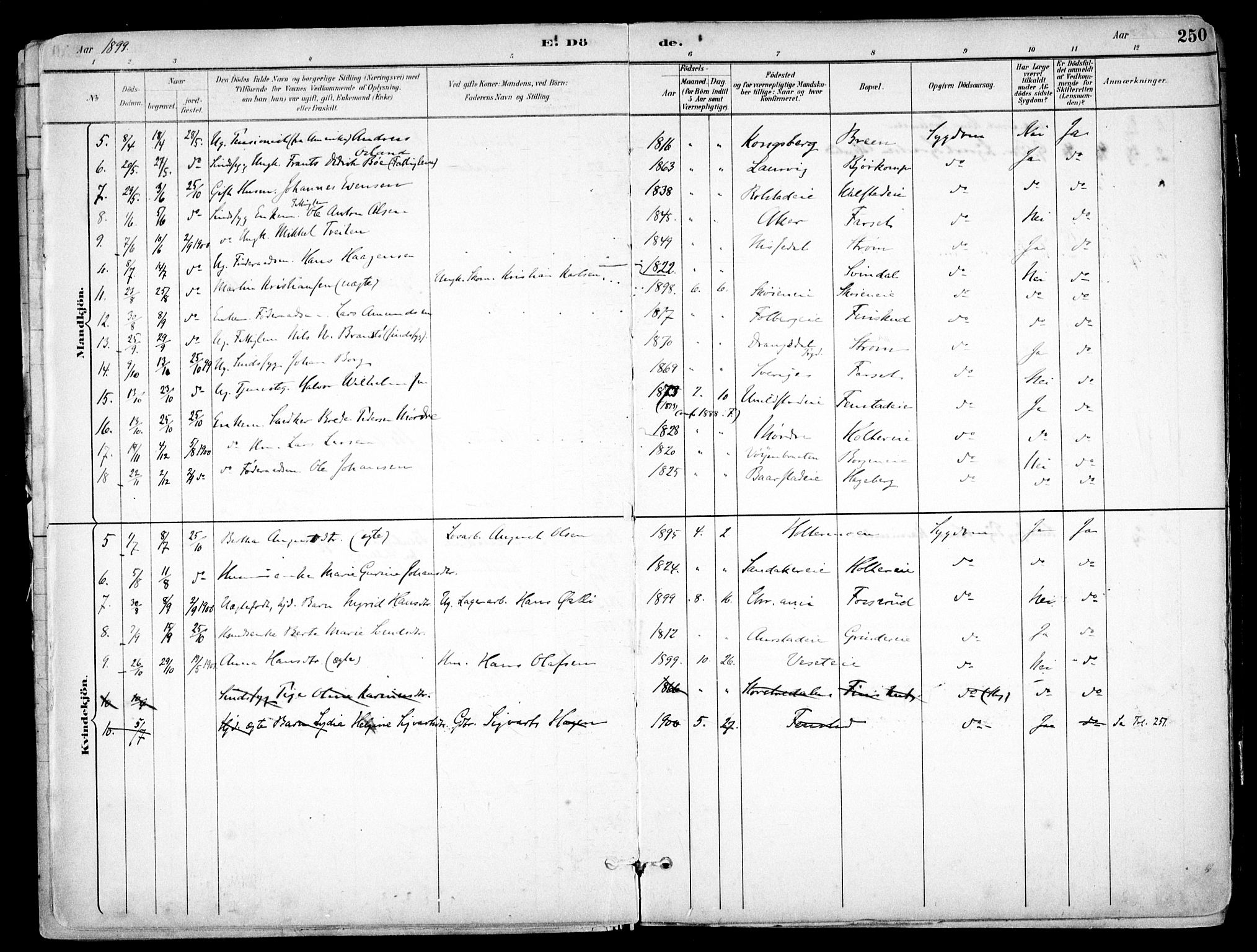 Nes prestekontor Kirkebøker, AV/SAO-A-10410/F/Fb/L0002: Parish register (official) no. II 2, 1883-1918, p. 250