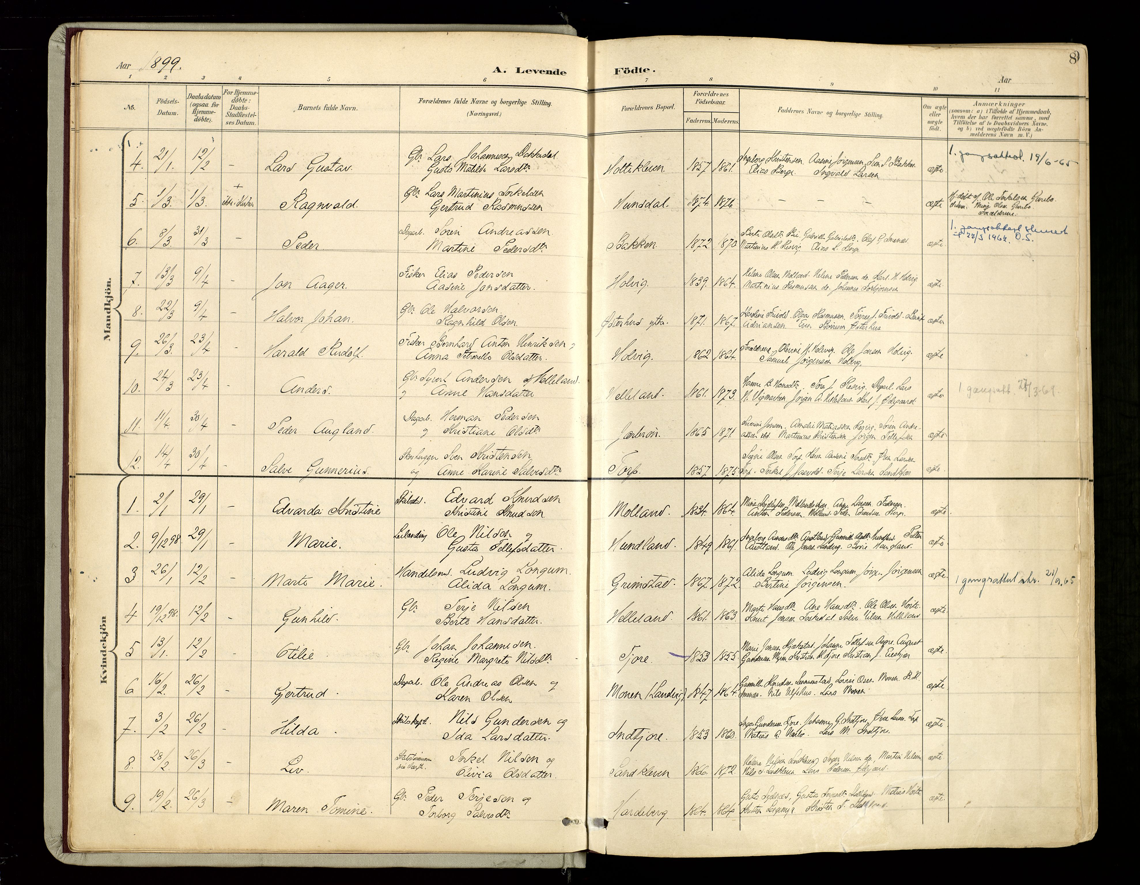 Hommedal sokneprestkontor, AV/SAK-1111-0023/F/Fa/Fab/L0007: Parish register (official) no. A 7, 1898-1924, p. 8