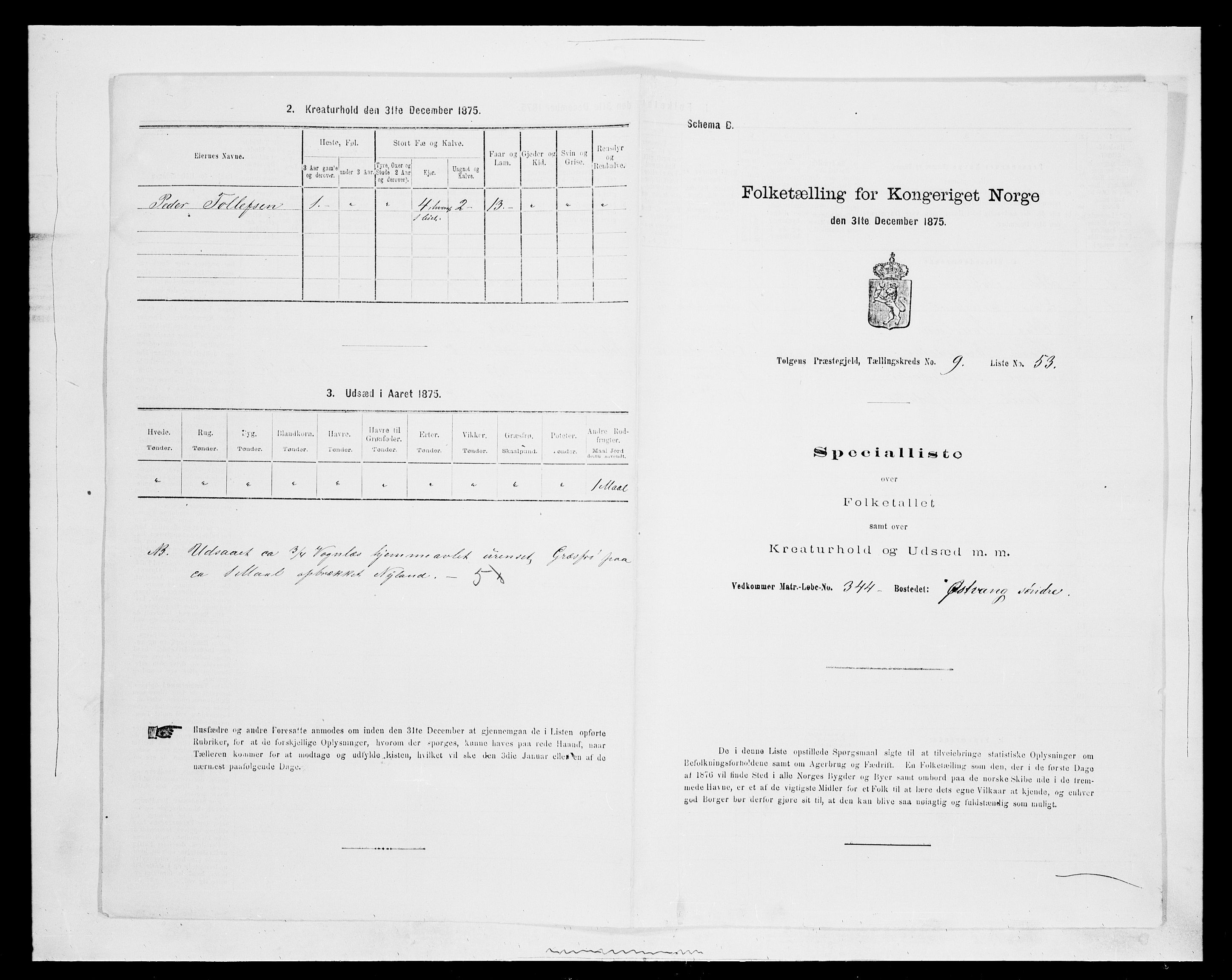 SAH, 1875 census for 0436P Tolga, 1875, p. 993