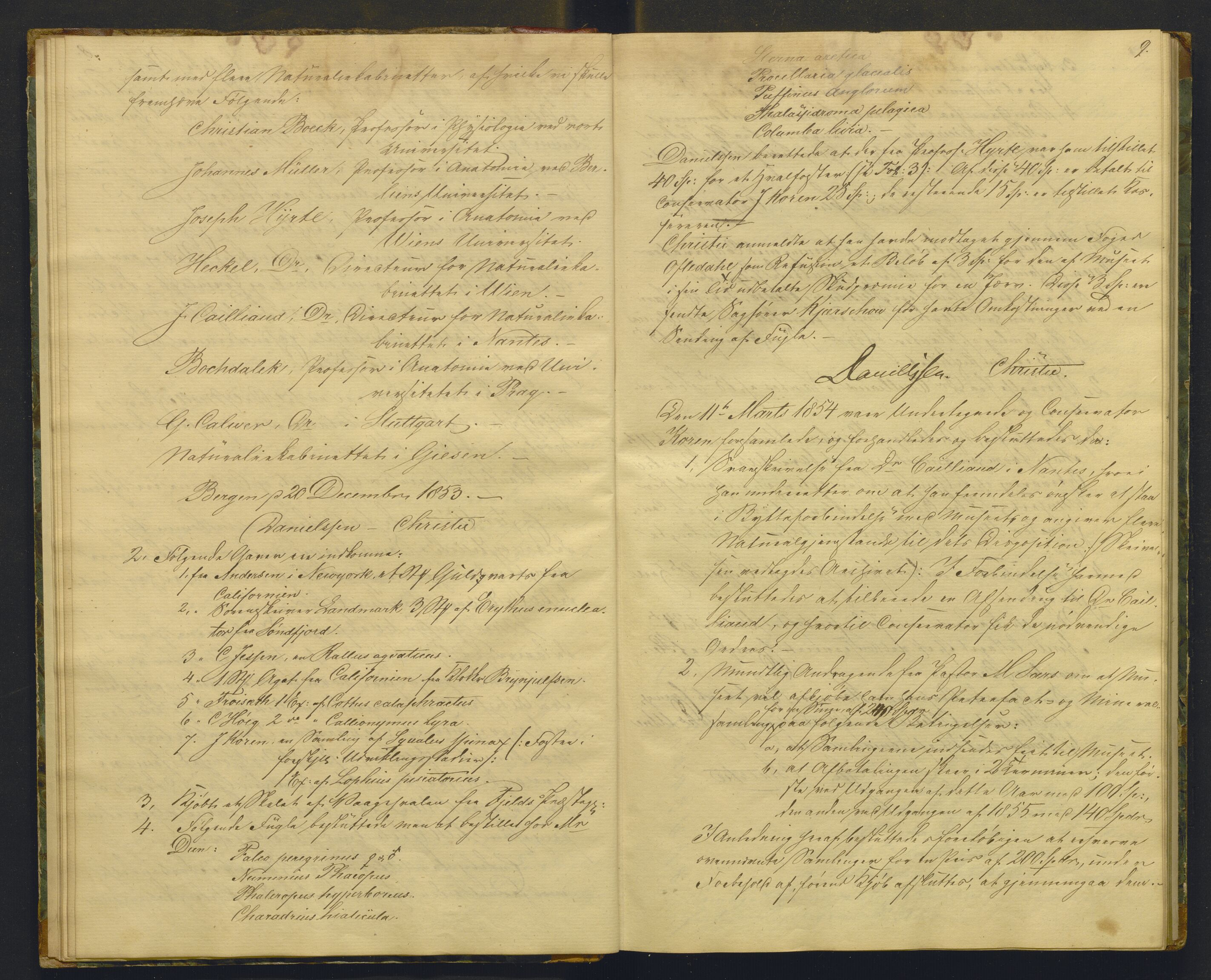 Bergens Museum, AV/SAB-A-17301/08/A/L0001: Forhandlingsprotokoll , 1852-1900, p. 8b-9a