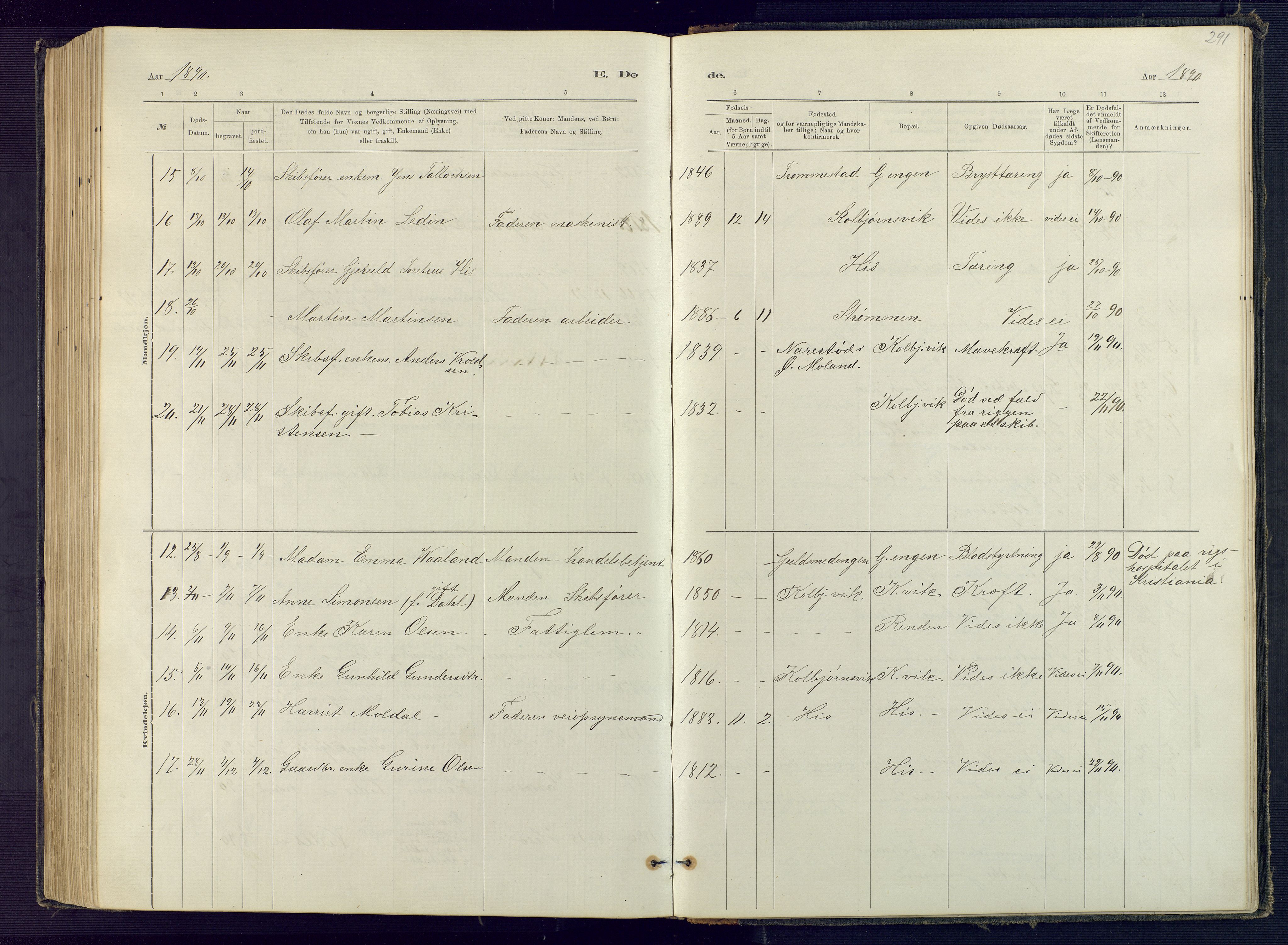 Hisøy sokneprestkontor, SAK/1111-0020/F/Fb/L0003: Parish register (copy) no. B 3, 1885-1905, p. 291