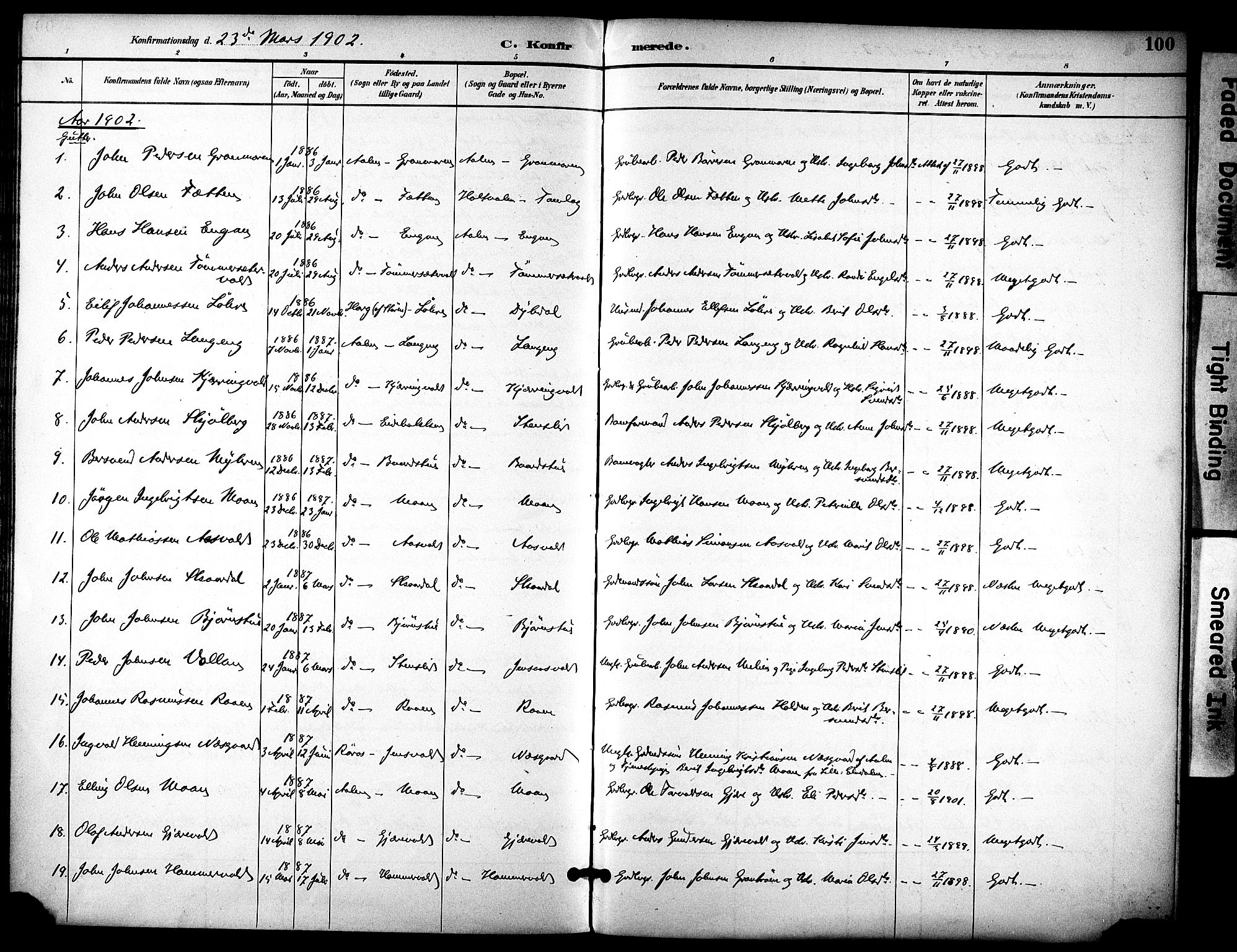 Ministerialprotokoller, klokkerbøker og fødselsregistre - Sør-Trøndelag, AV/SAT-A-1456/686/L0984: Parish register (official) no. 686A02, 1891-1906, p. 100