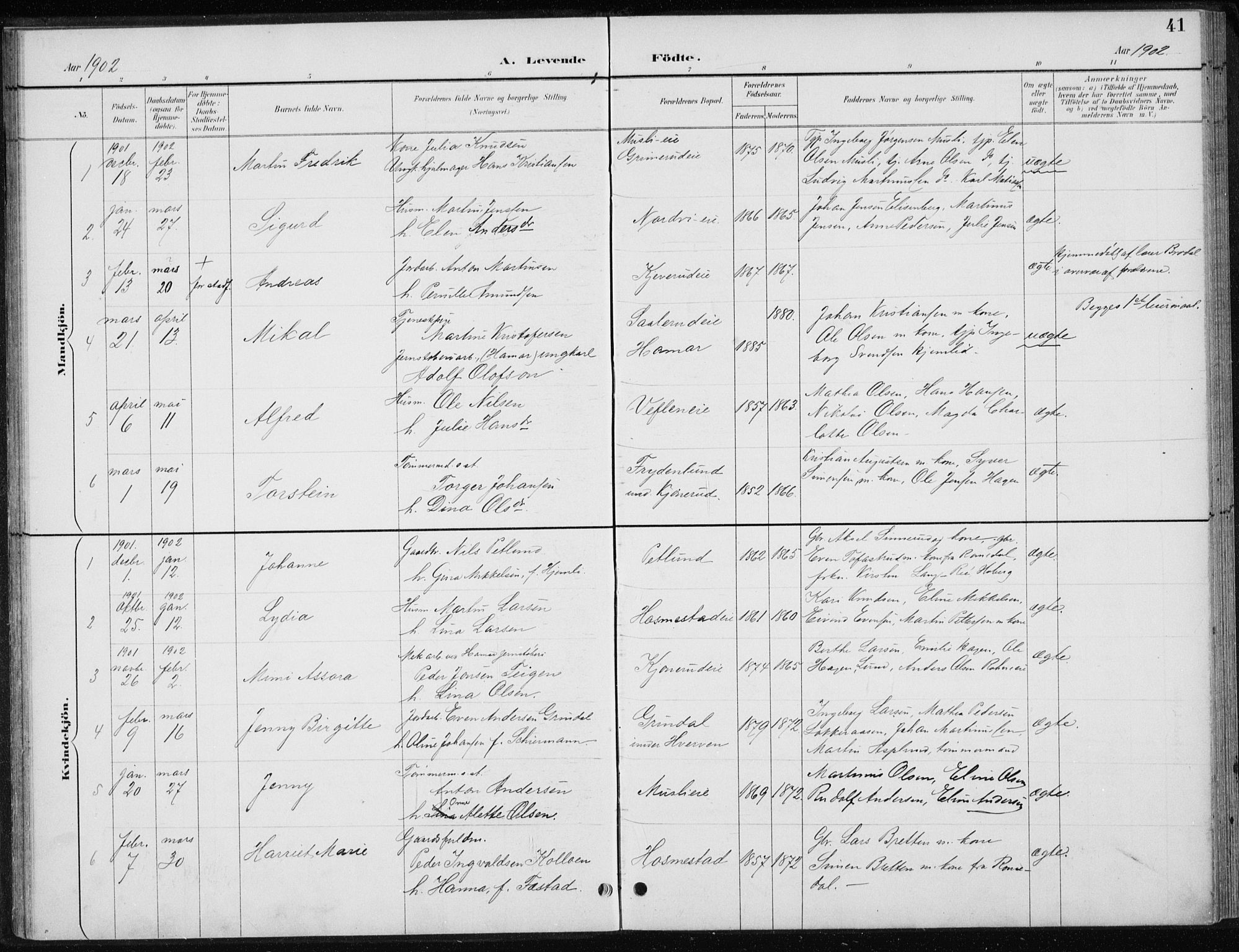 Stange prestekontor, SAH/PREST-002/L/L0010: Parish register (copy) no. 10, 1894-1905, p. 41