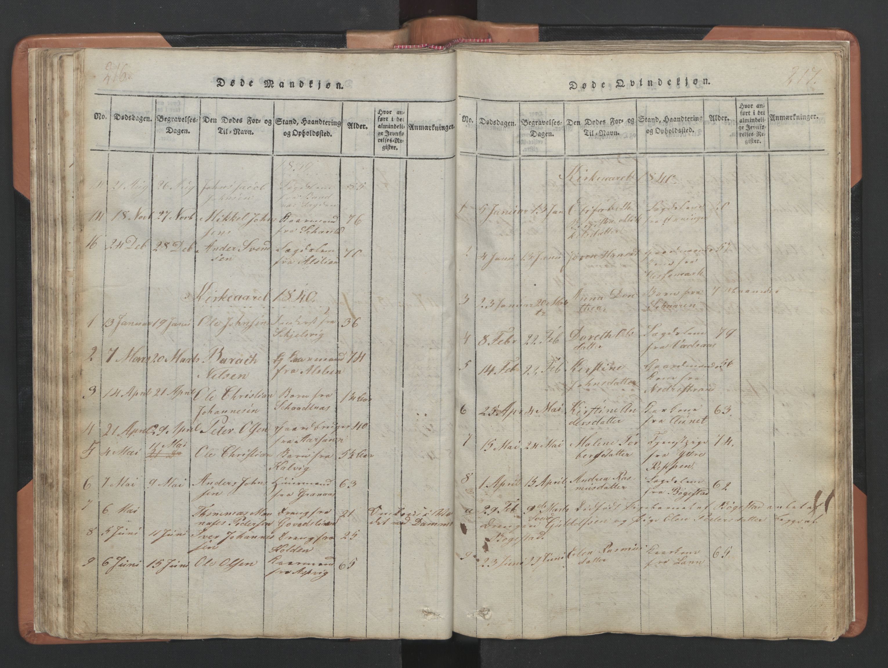 Ministerialprotokoller, klokkerbøker og fødselsregistre - Nordland, AV/SAT-A-1459/810/L0157: Parish register (copy) no. 810C01, 1819-1842, p. 216-217