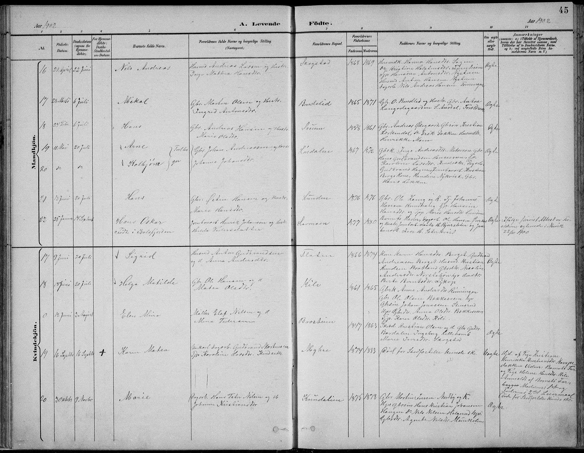 Nordre Land prestekontor, AV/SAH-PREST-124/H/Ha/Hab/L0013: Parish register (copy) no. 13, 1891-1904, p. 45