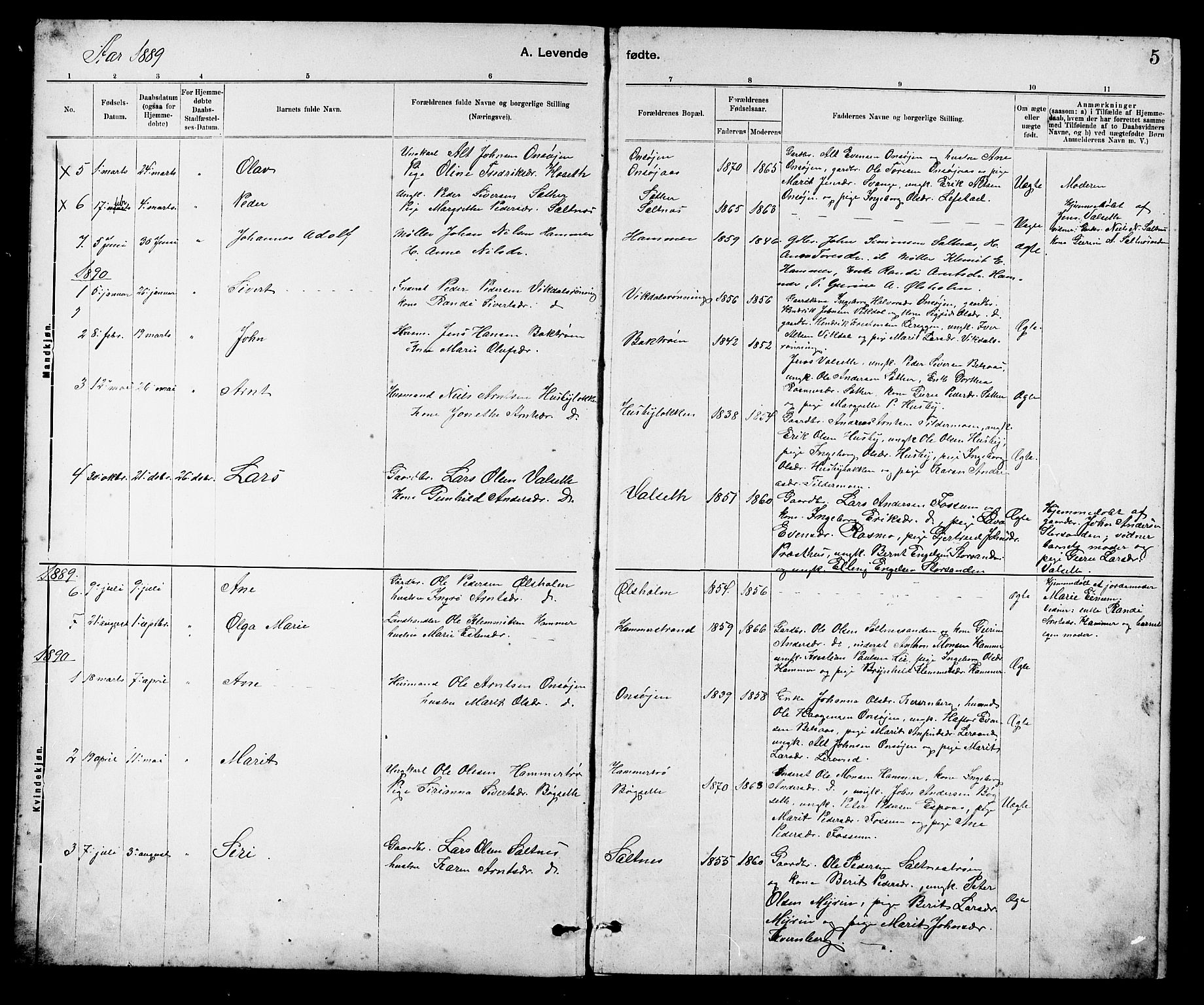 Ministerialprotokoller, klokkerbøker og fødselsregistre - Sør-Trøndelag, SAT/A-1456/666/L0790: Parish register (copy) no. 666C03, 1885-1908, p. 5