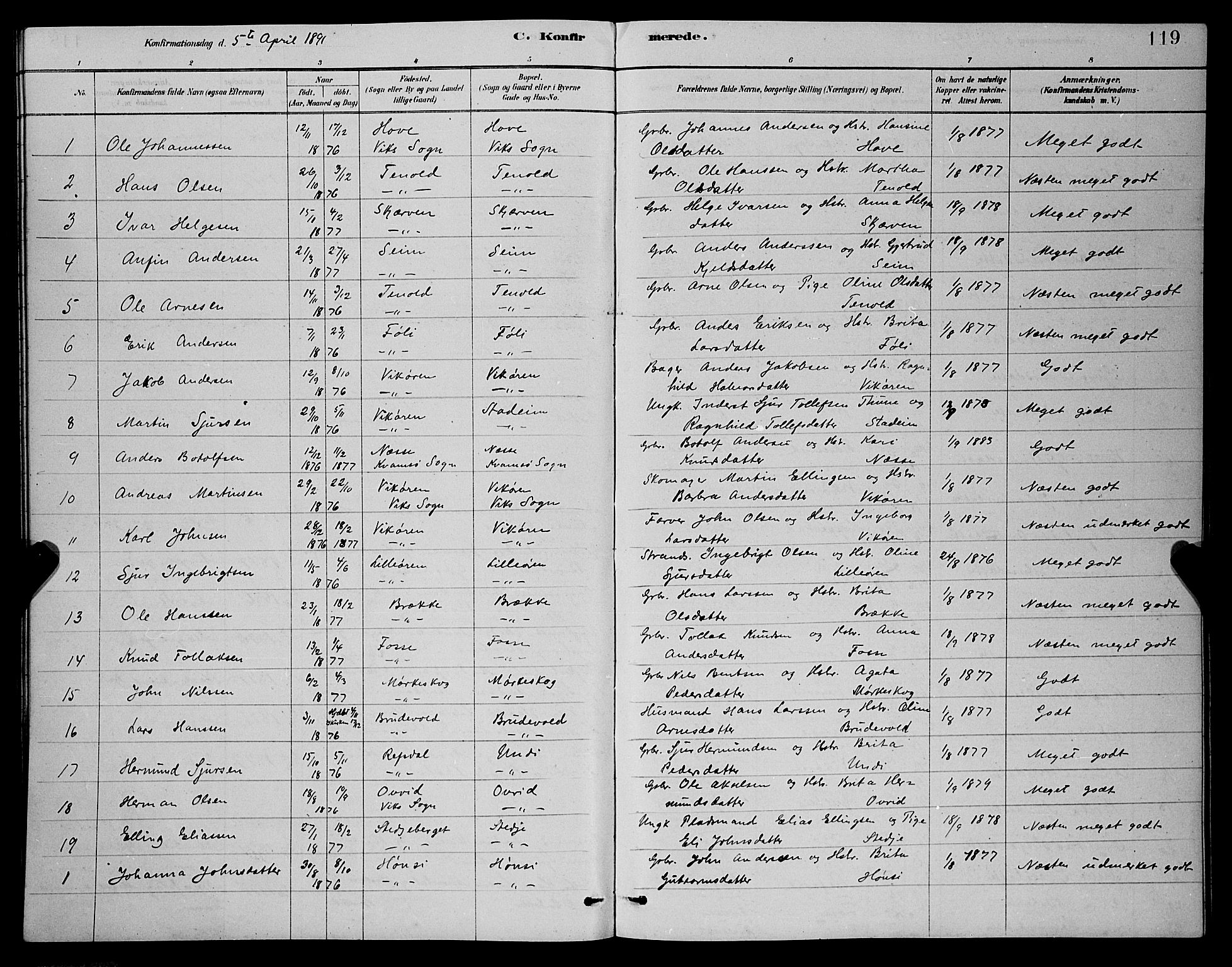 Vik sokneprestembete, AV/SAB-A-81501/H/Hab/Haba/L0003: Parish register (copy) no. A 3, 1878-1894, p. 119
