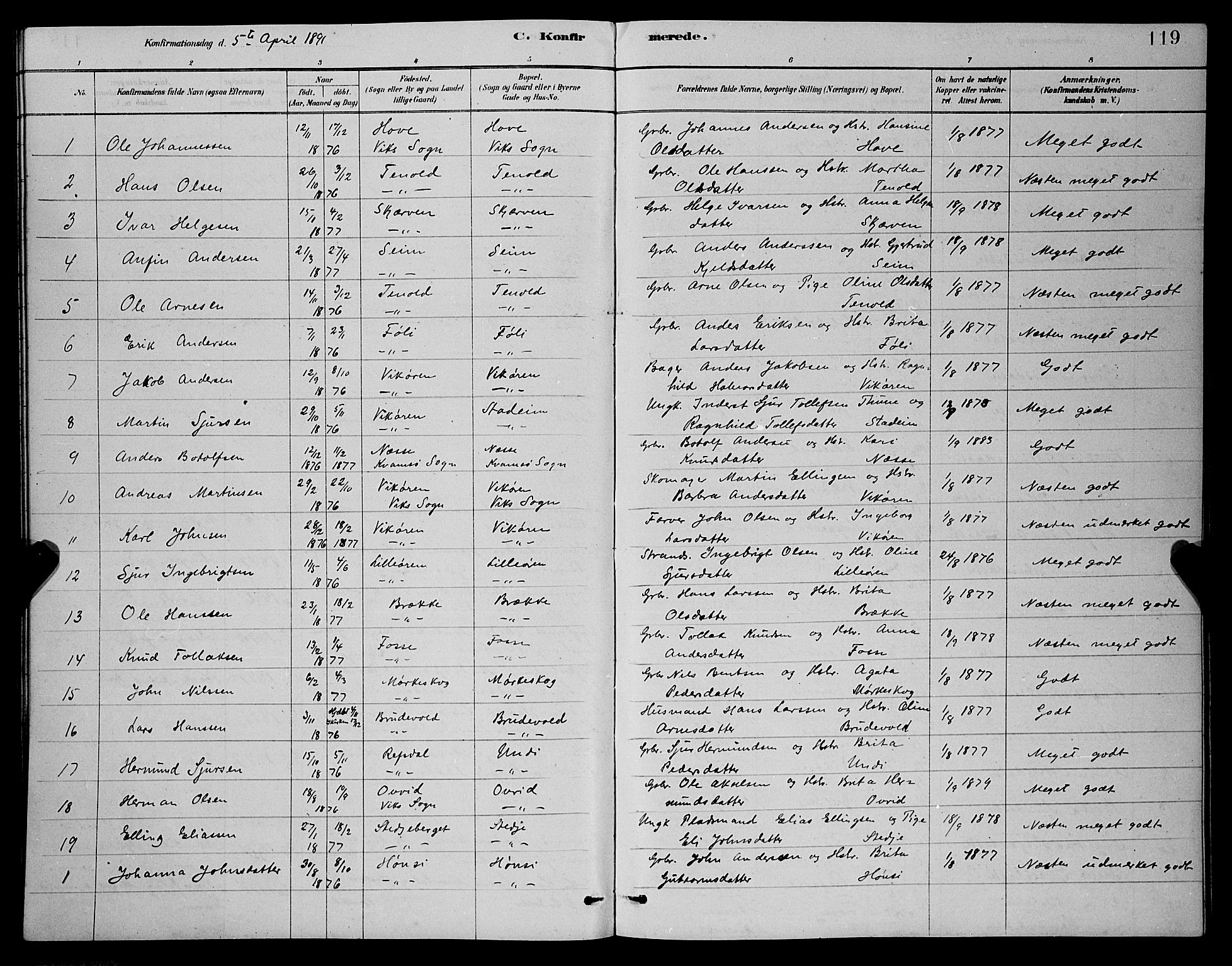 Vik sokneprestembete, SAB/A-81501: Parish register (copy) no. A 3, 1878-1894, p. 119