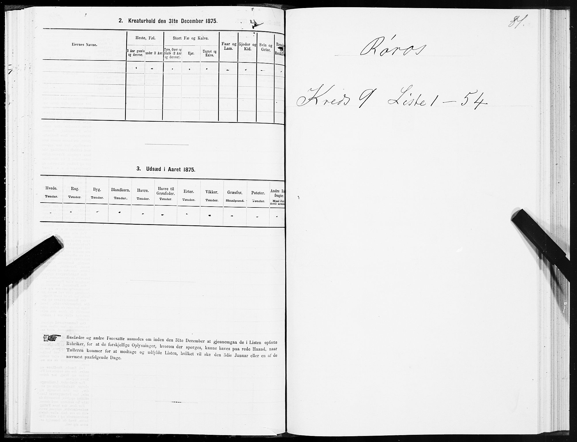 SAT, 1875 census for 1640P Røros, 1875, p. 5081