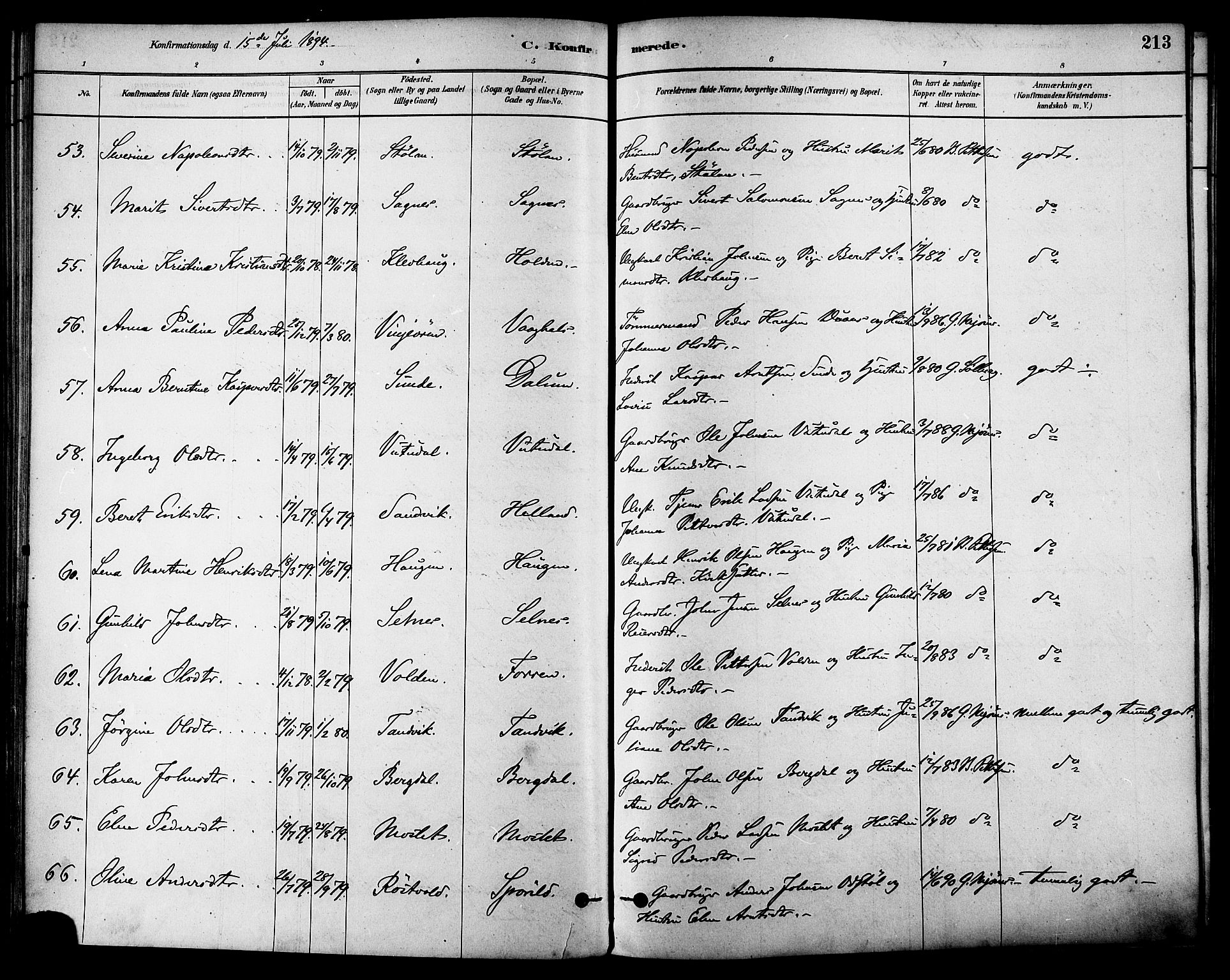 Ministerialprotokoller, klokkerbøker og fødselsregistre - Sør-Trøndelag, AV/SAT-A-1456/630/L0496: Parish register (official) no. 630A09, 1879-1895, p. 213