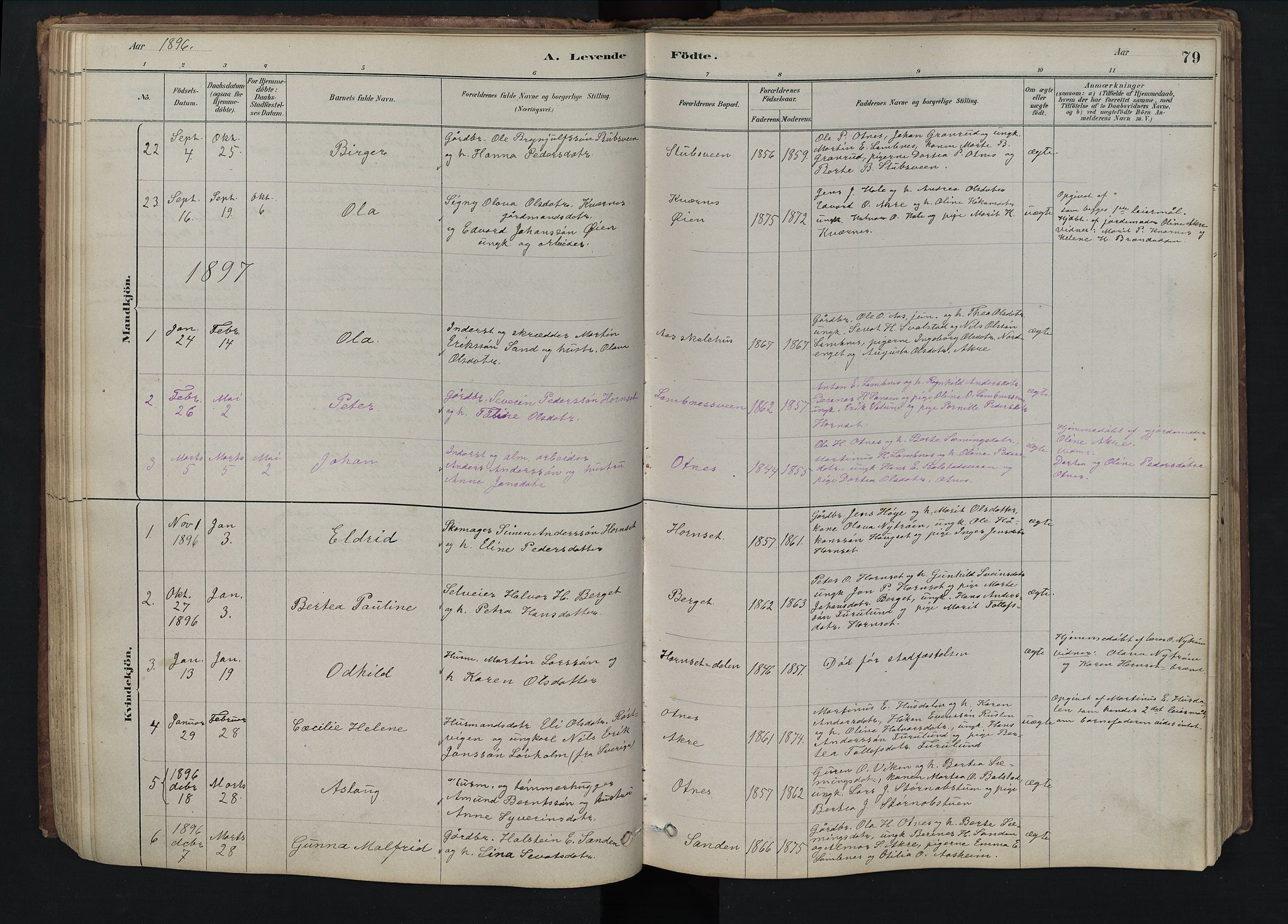 Rendalen prestekontor, SAH/PREST-054/H/Ha/Hab/L0009: Parish register (copy) no. 9, 1879-1902, p. 79