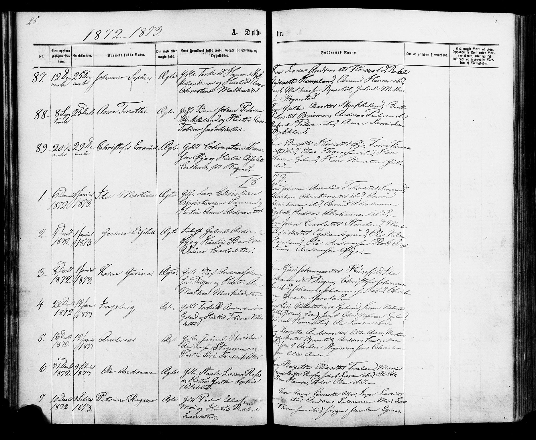 Kvinesdal sokneprestkontor, AV/SAK-1111-0026/F/Fa/Fab/L0007: Parish register (official) no. A 7, 1870-1885, p. 25