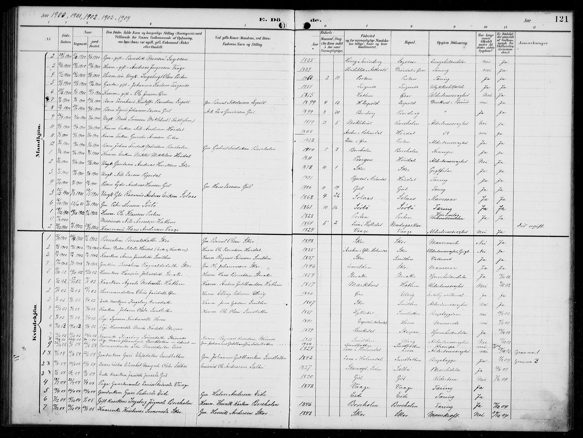 Hyllestad sokneprestembete, SAB/A-80401: Parish register (copy) no. C 3, 1894-1913, p. 121