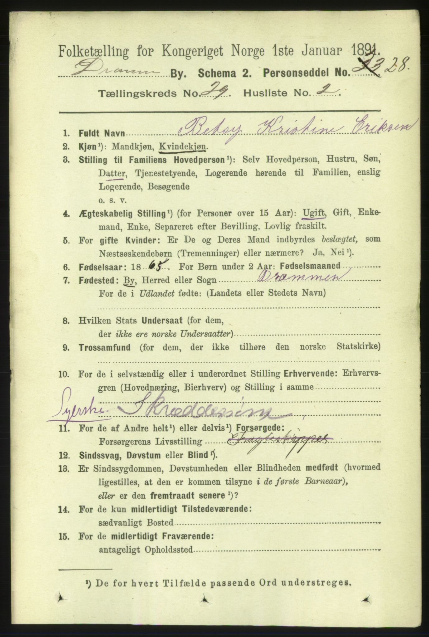 RA, 1891 census for 0602 Drammen, 1891, p. 17432