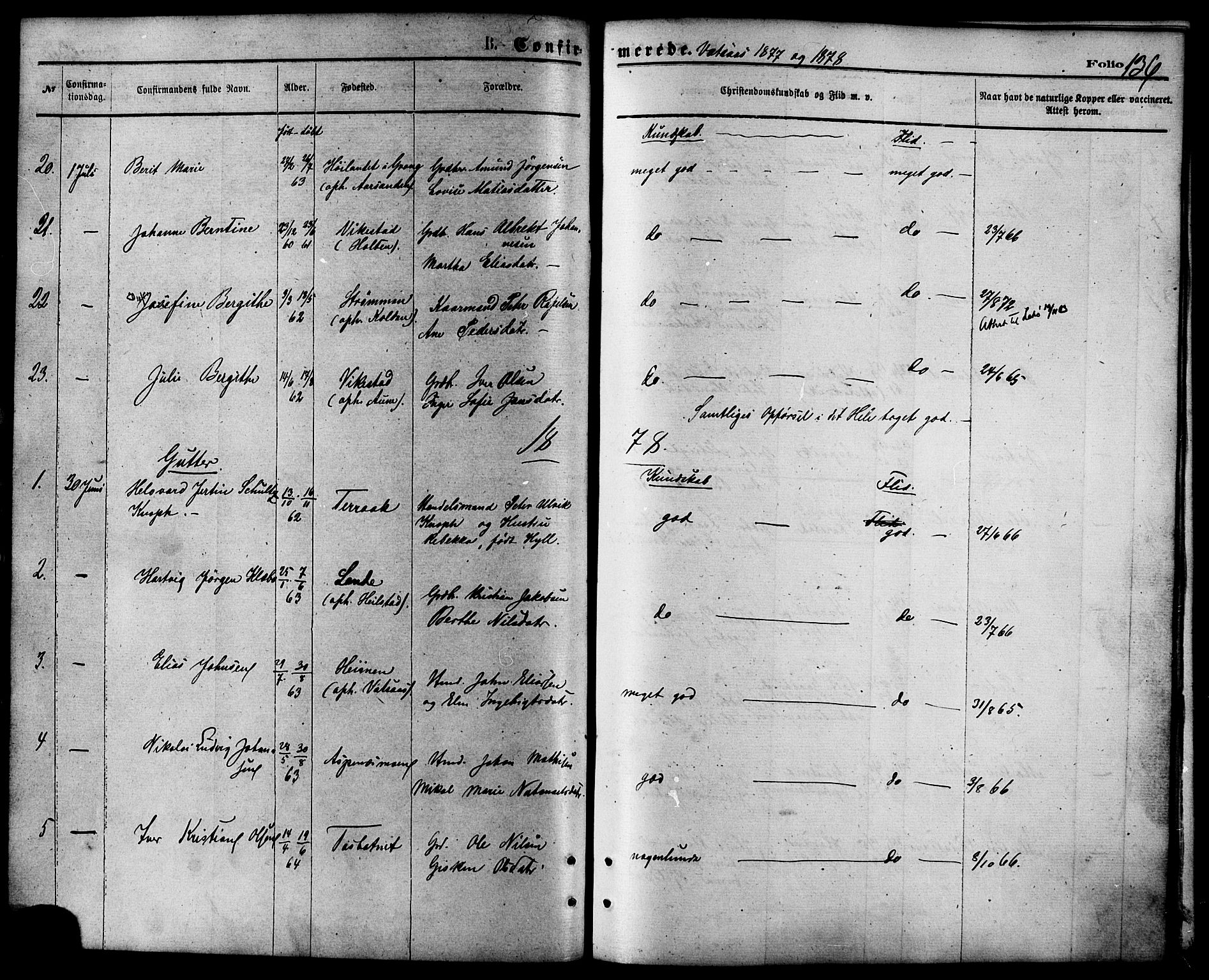 Ministerialprotokoller, klokkerbøker og fødselsregistre - Nordland, AV/SAT-A-1459/810/L0148: Parish register (official) no. 810A09 /1, 1874-1884, p. 136