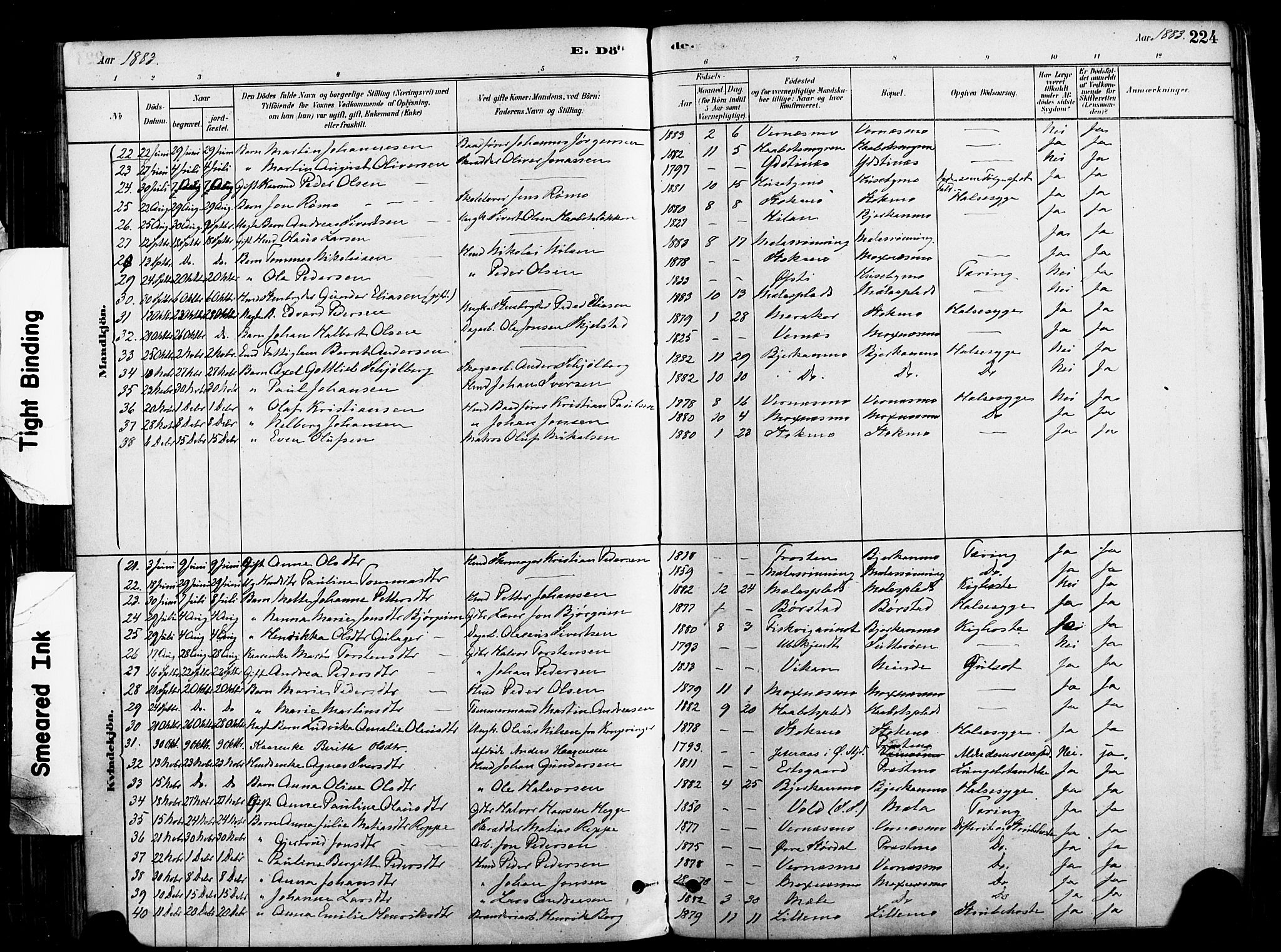 Ministerialprotokoller, klokkerbøker og fødselsregistre - Nord-Trøndelag, SAT/A-1458/709/L0077: Parish register (official) no. 709A17, 1880-1895, p. 224