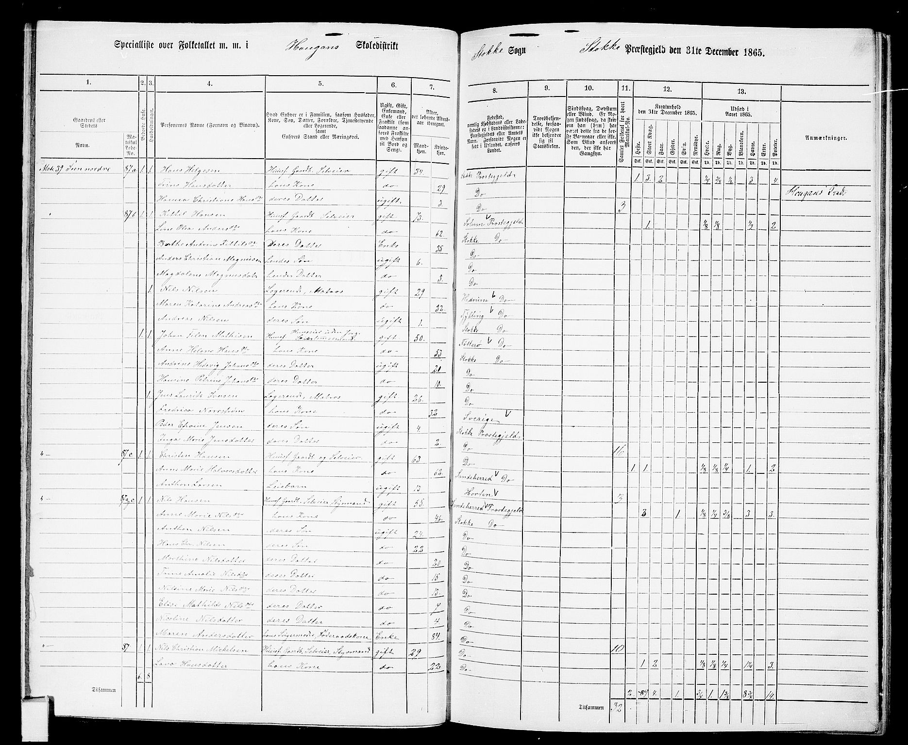 RA, 1865 census for Stokke, 1865, p. 80