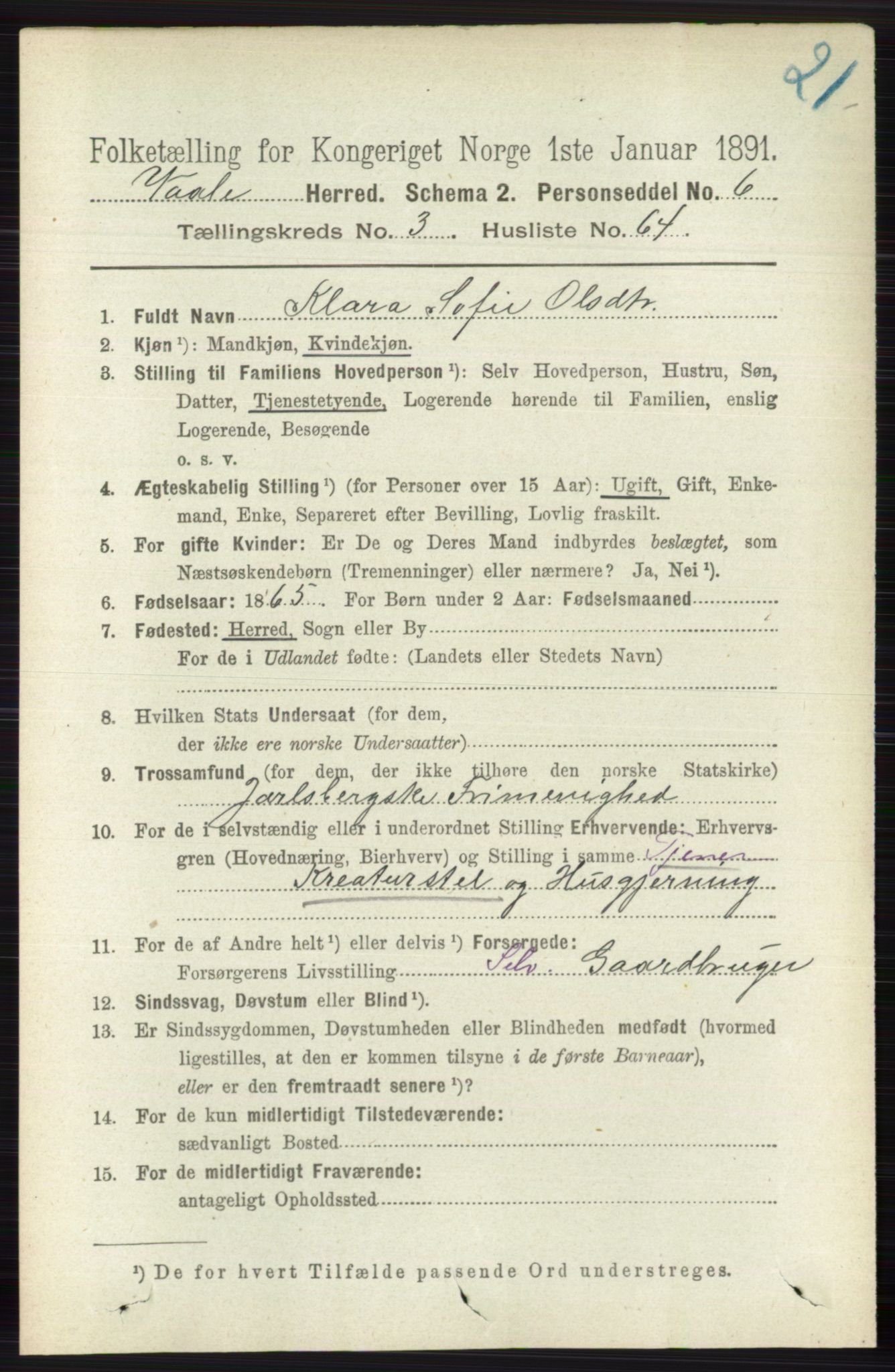 RA, 1891 census for 0716 Våle, 1891, p. 917