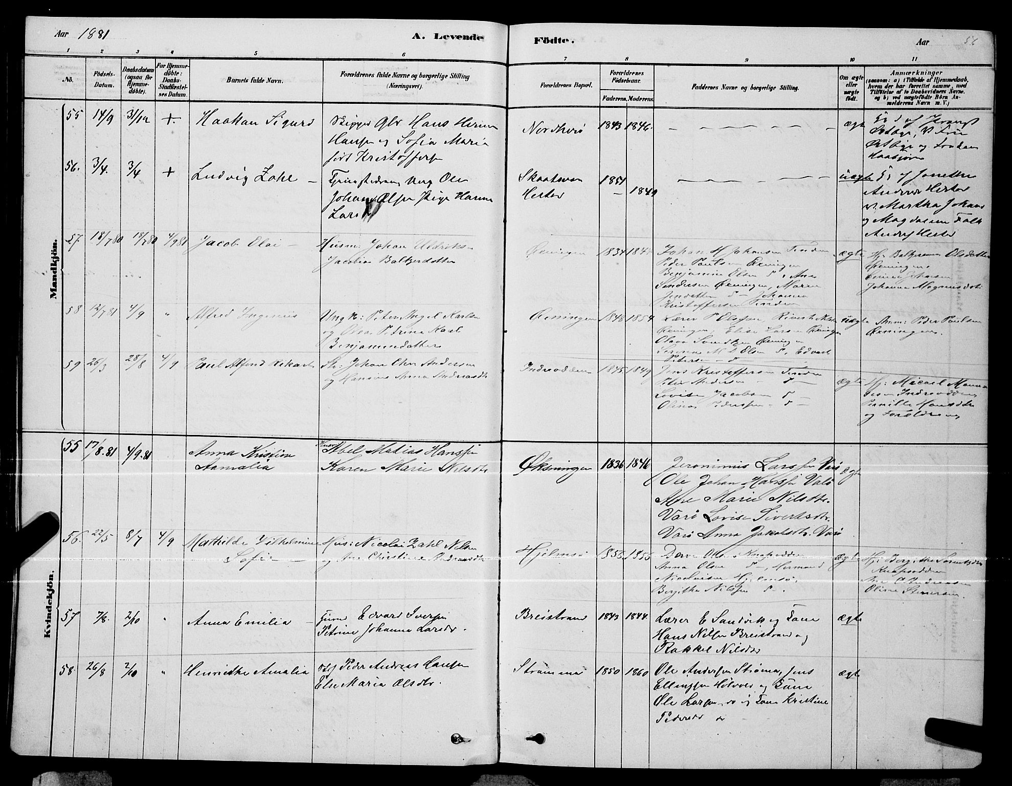 Ministerialprotokoller, klokkerbøker og fødselsregistre - Nordland, AV/SAT-A-1459/834/L0513: Parish register (copy) no. 834C04, 1877-1892, p. 56