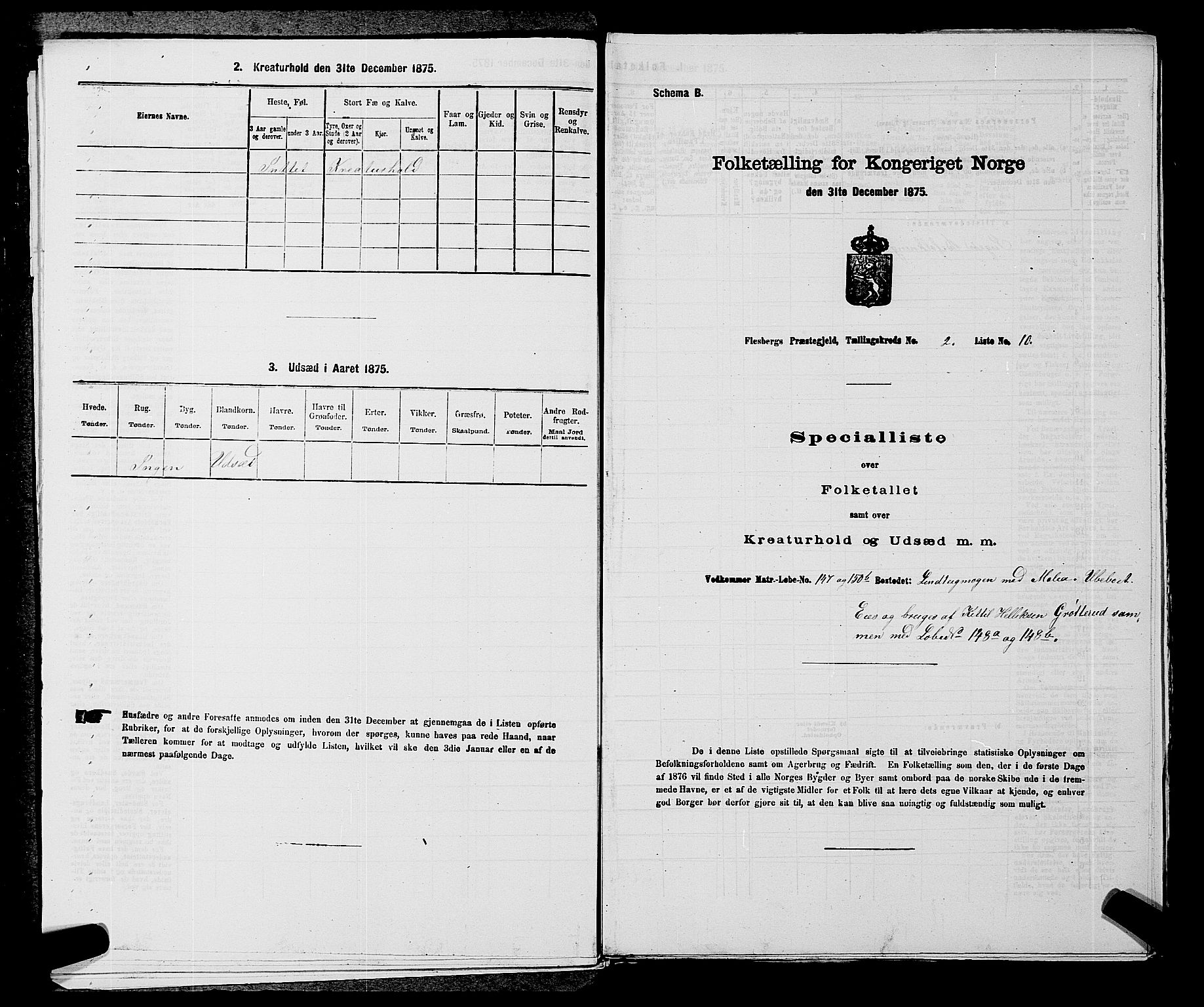 SAKO, 1875 census for 0631P Flesberg, 1875, p. 499