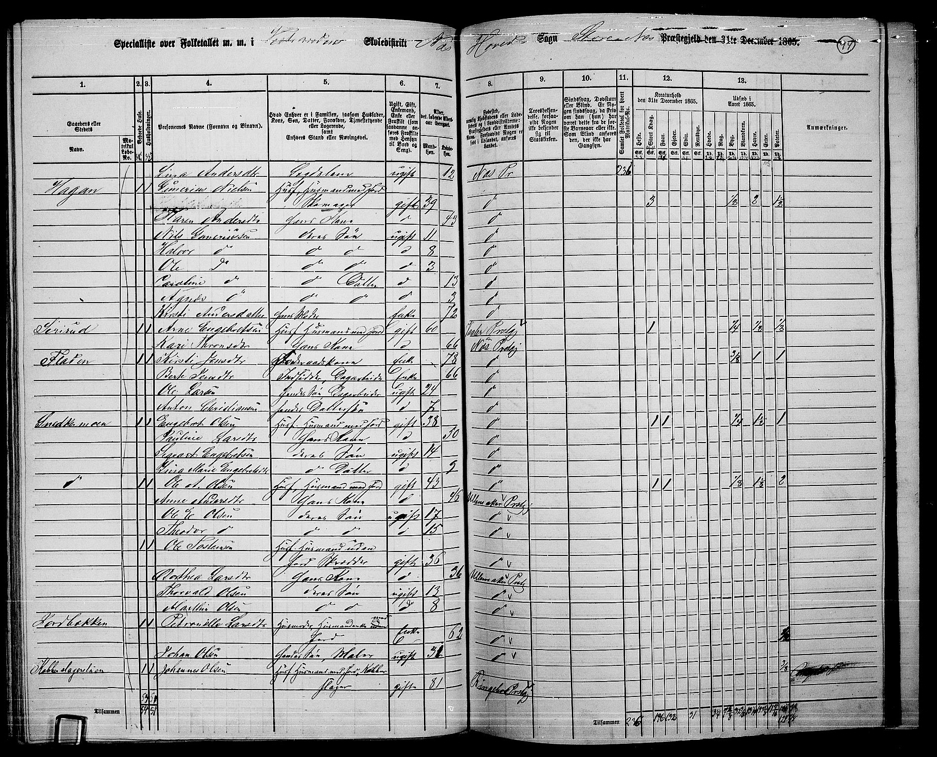 RA, 1865 census for Nes, 1865, p. 86