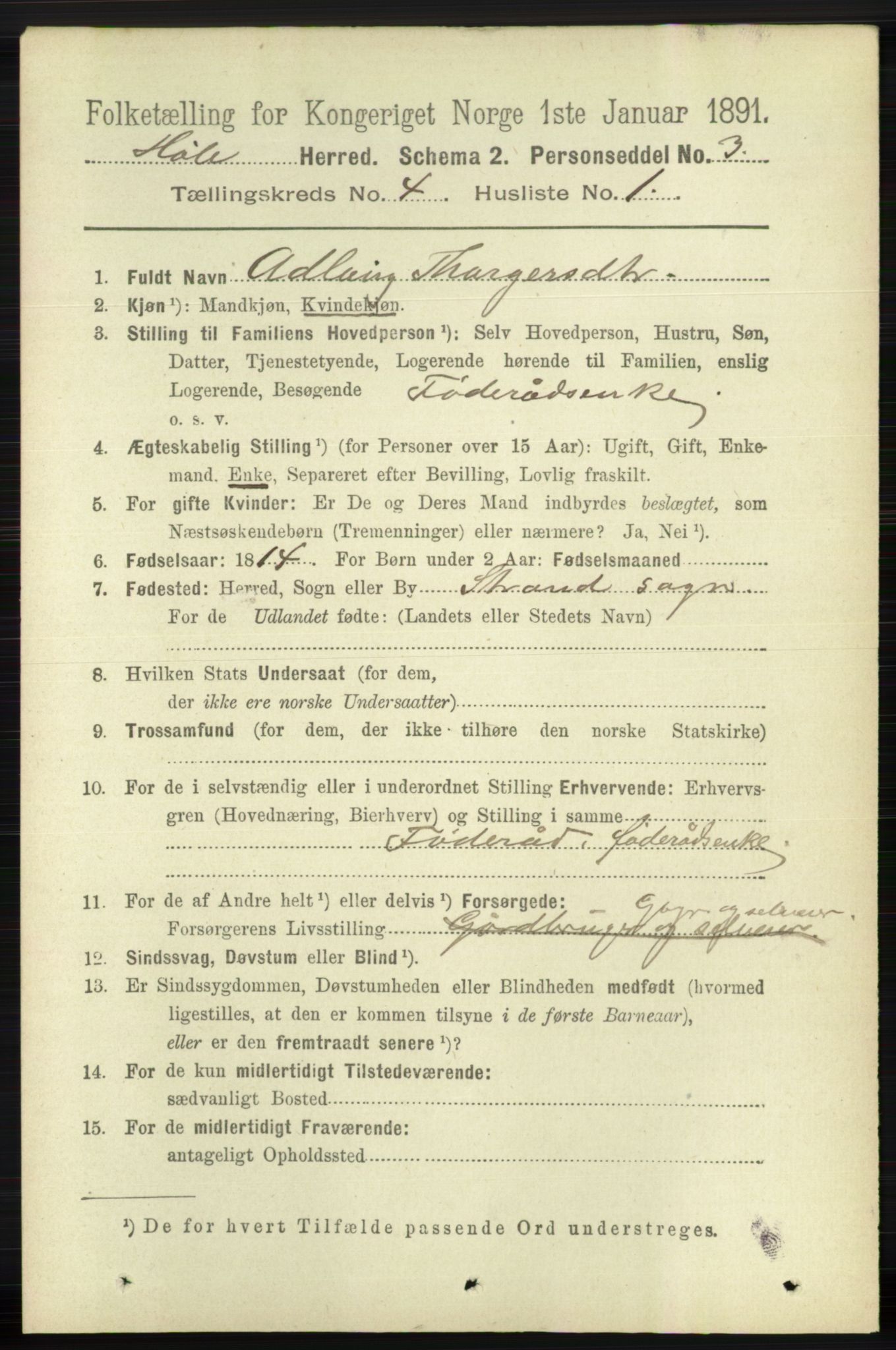 RA, 1891 census for 1128 Høle, 1891, p. 850