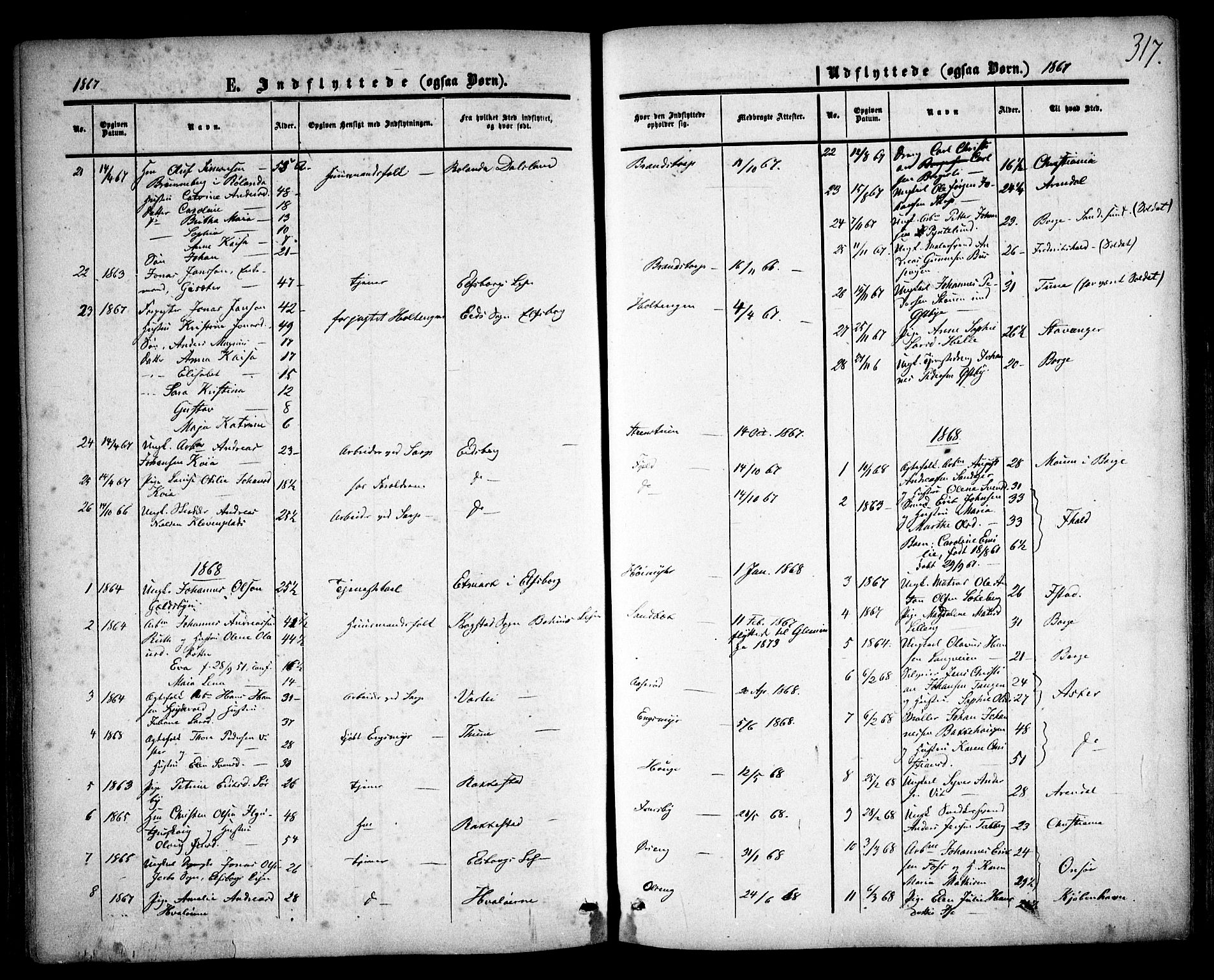 Skjeberg prestekontor Kirkebøker, SAO/A-10923/F/Fa/L0007: Parish register (official) no. I 7, 1859-1868, p. 317