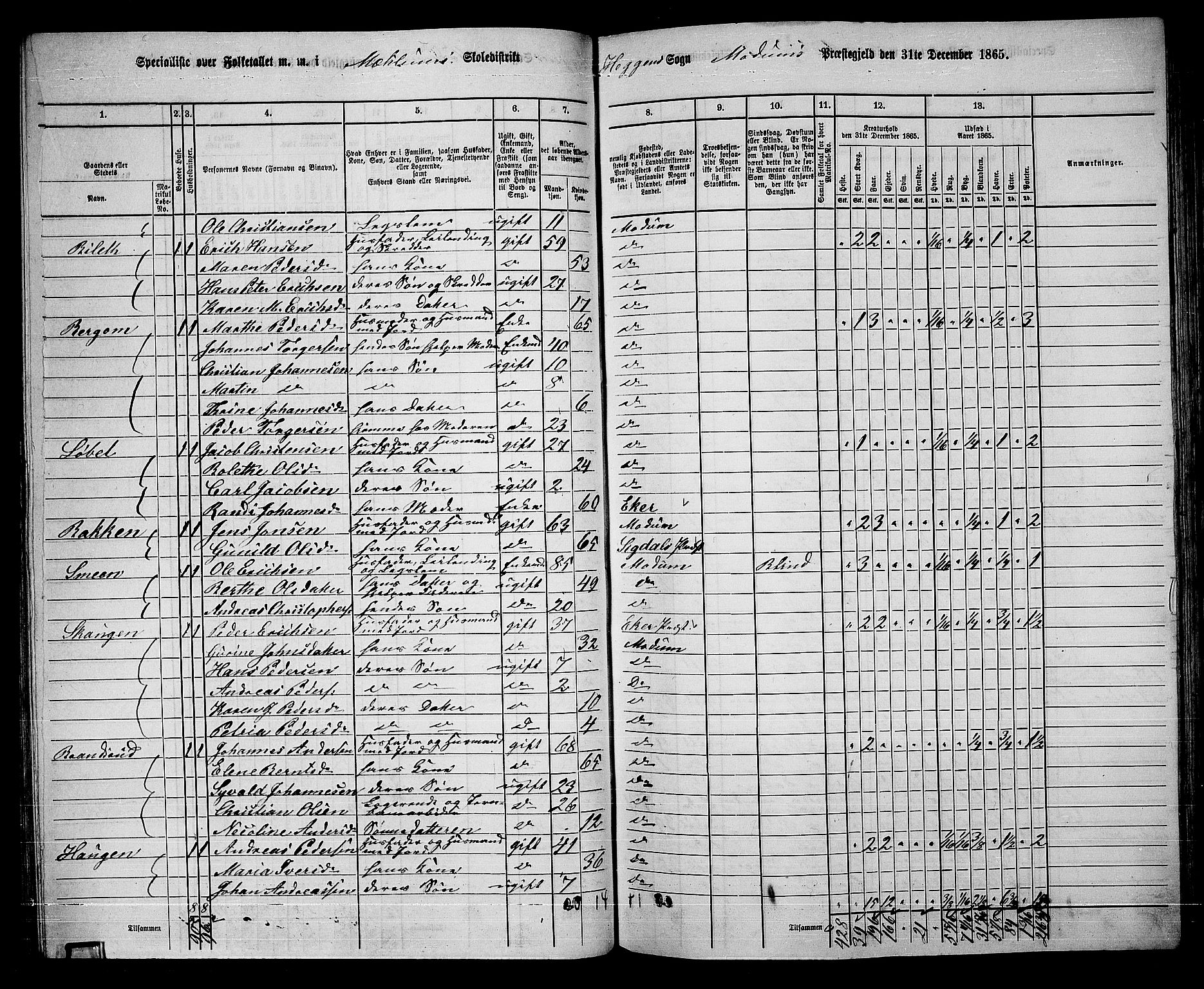 RA, 1865 census for Modum, 1865, p. 82