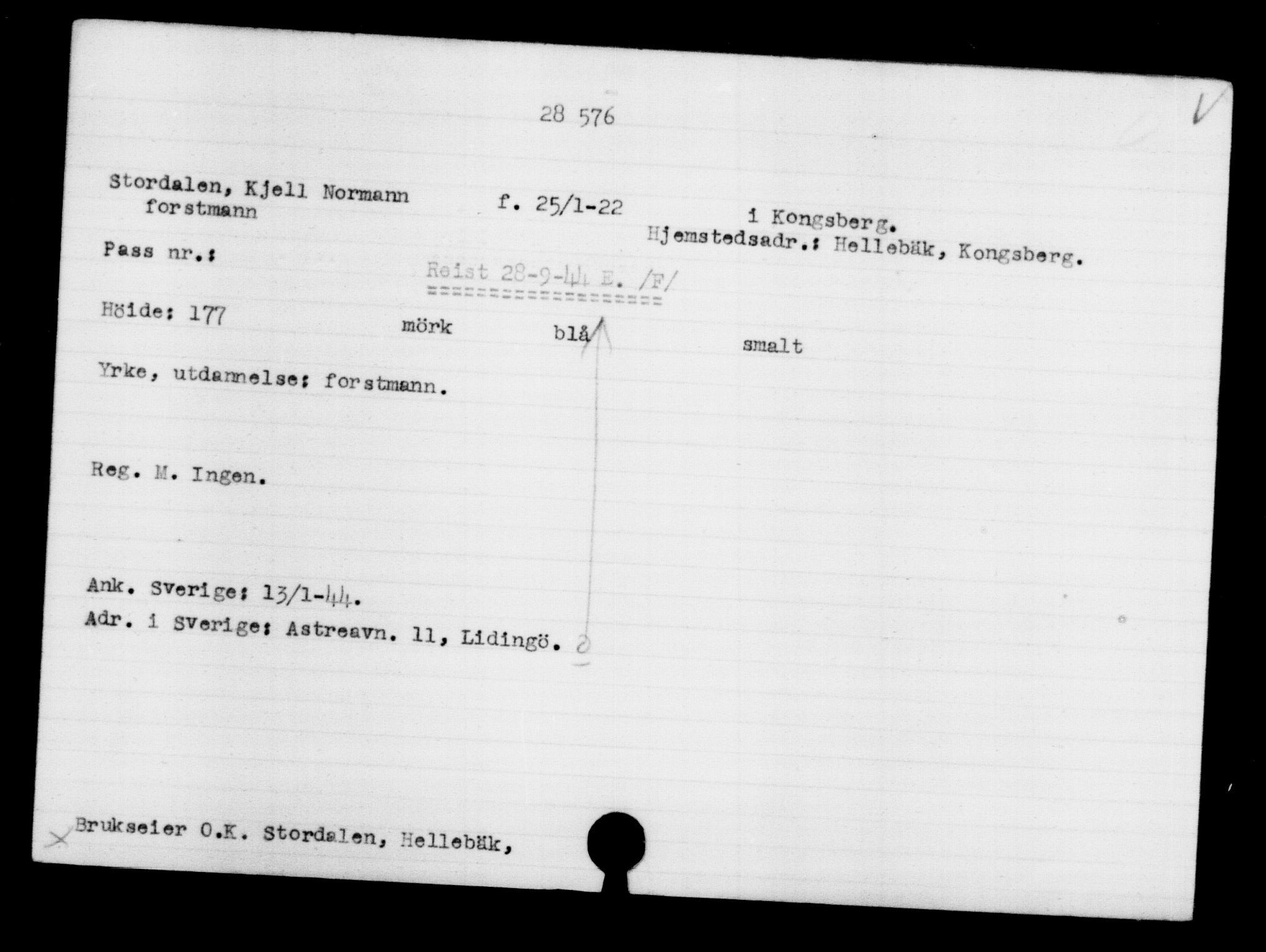 Den Kgl. Norske Legasjons Flyktningskontor, RA/S-6753/V/Va/L0012: Kjesäterkartoteket.  Flyktningenr. 28300-31566, 1940-1945, p. 299