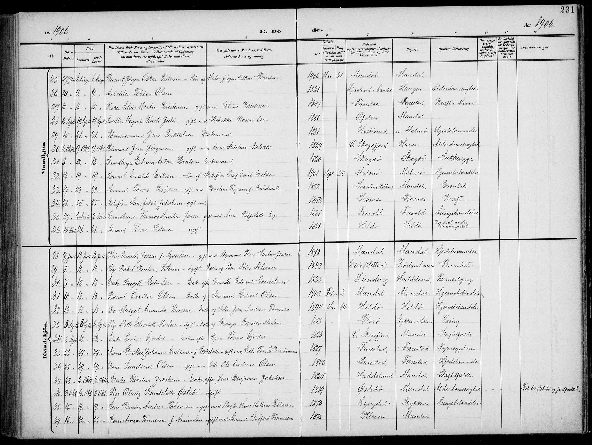 Mandal sokneprestkontor, AV/SAK-1111-0030/F/Fb/Fba/L0012: Parish register (copy) no. B 6, 1899-1918, p. 231