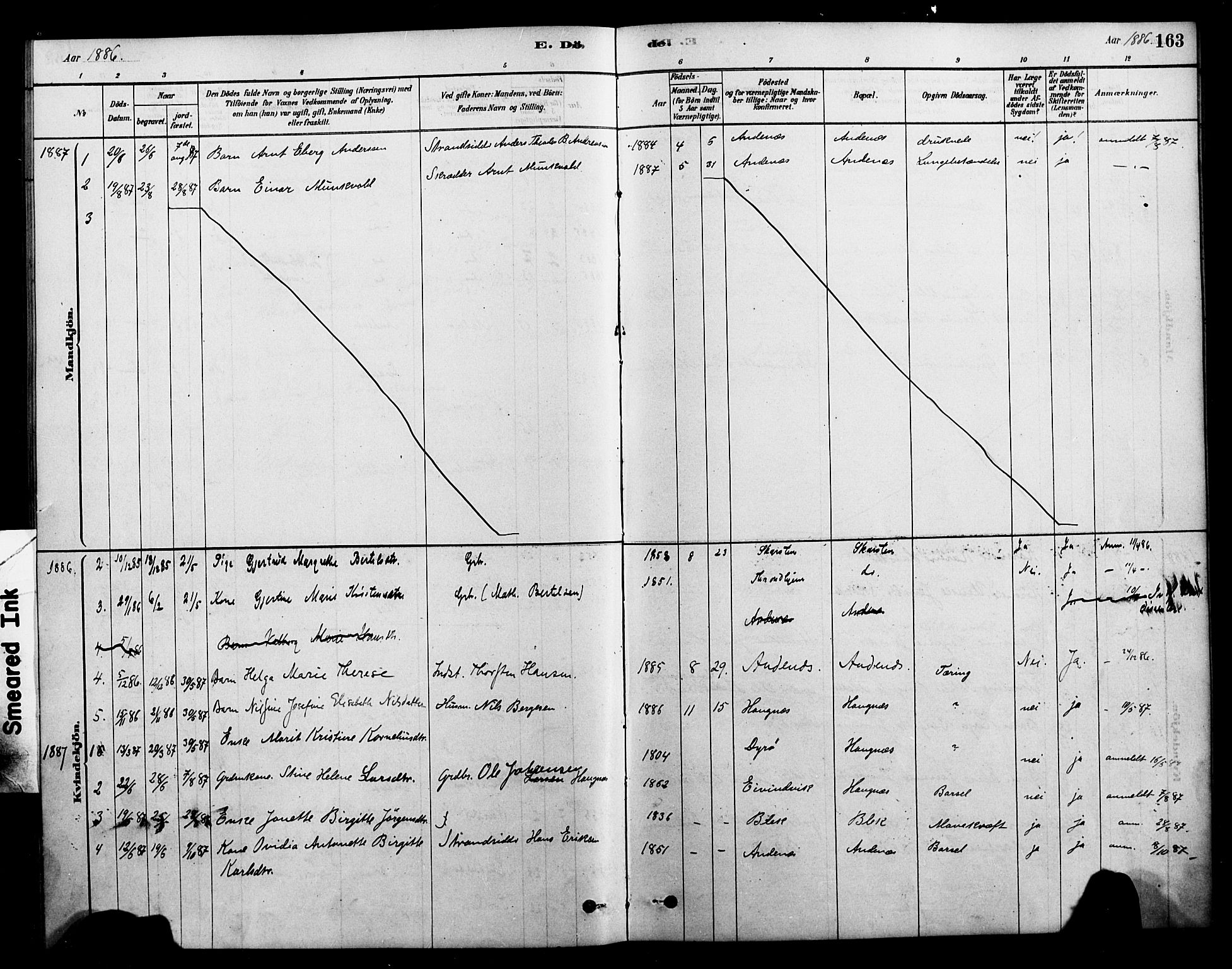 Ministerialprotokoller, klokkerbøker og fødselsregistre - Nordland, SAT/A-1459/899/L1436: Parish register (official) no. 899A04, 1881-1896, p. 163
