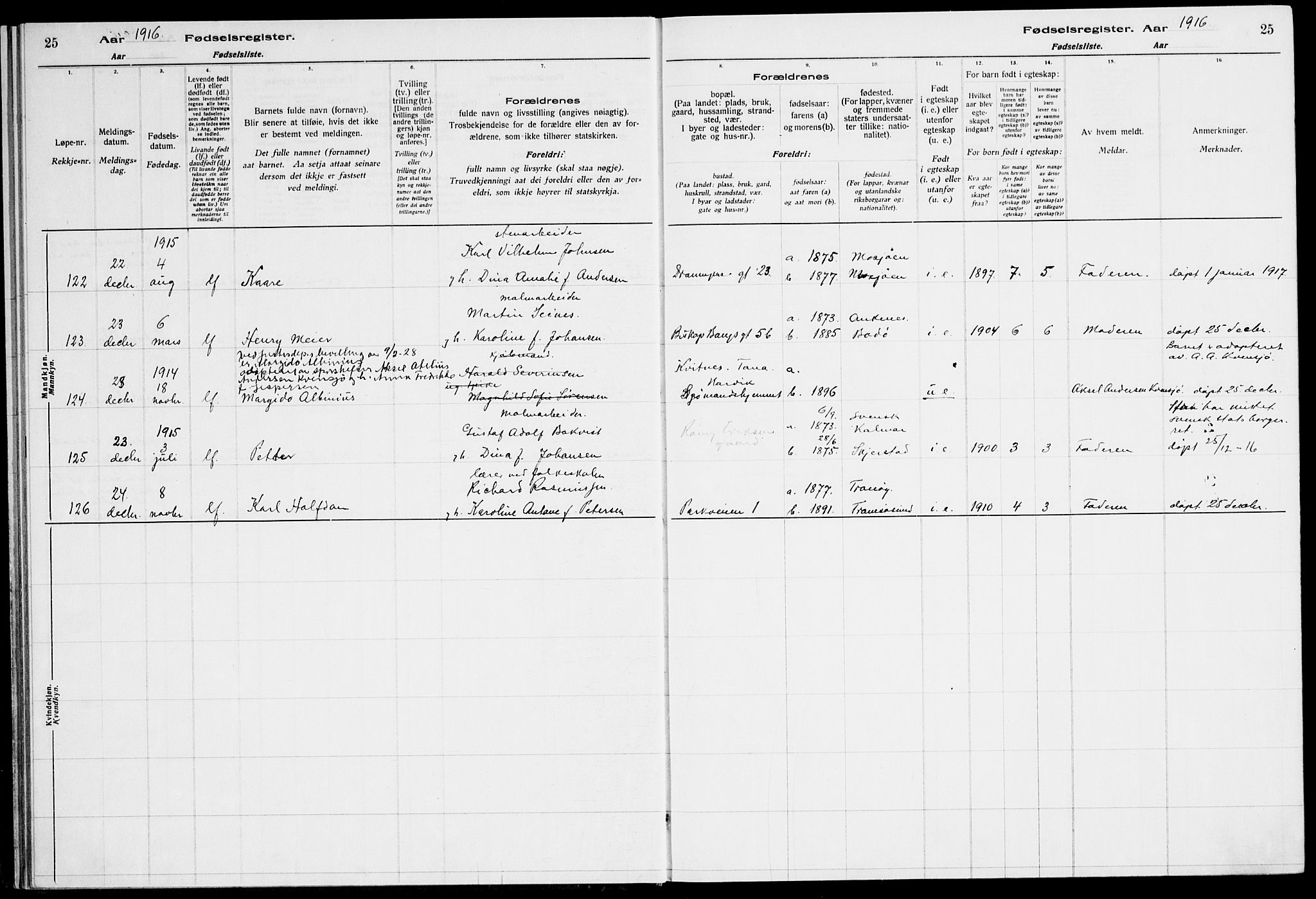 Ministerialprotokoller, klokkerbøker og fødselsregistre - Nordland, SAT/A-1459/871/L1013: Birth register no. 871.II.4.1, 1916-1924, p. 25