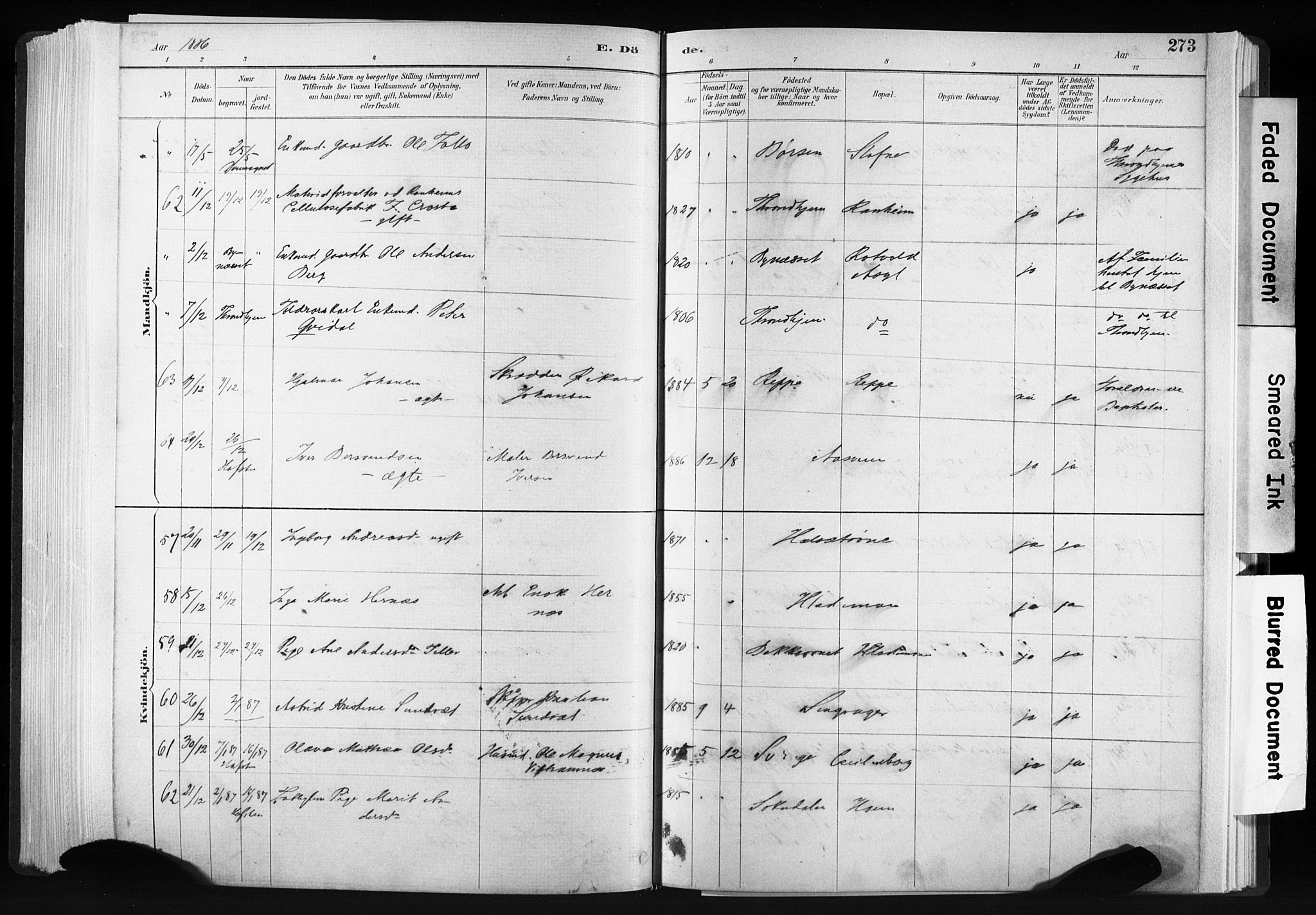 Ministerialprotokoller, klokkerbøker og fødselsregistre - Sør-Trøndelag, AV/SAT-A-1456/606/L0300: Parish register (official) no. 606A15, 1886-1893, p. 273