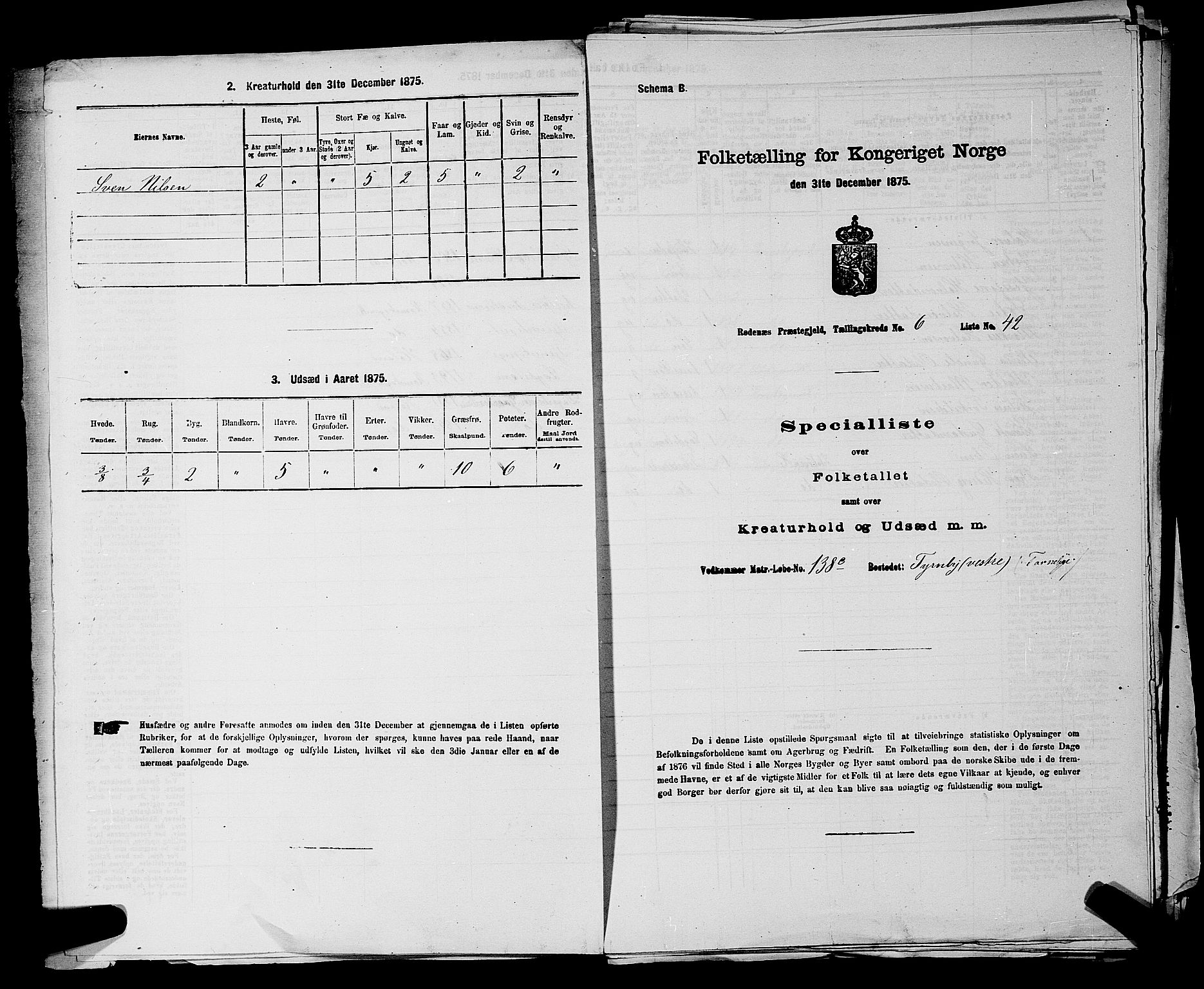 RA, 1875 census for 0120P Rødenes, 1875, p. 802