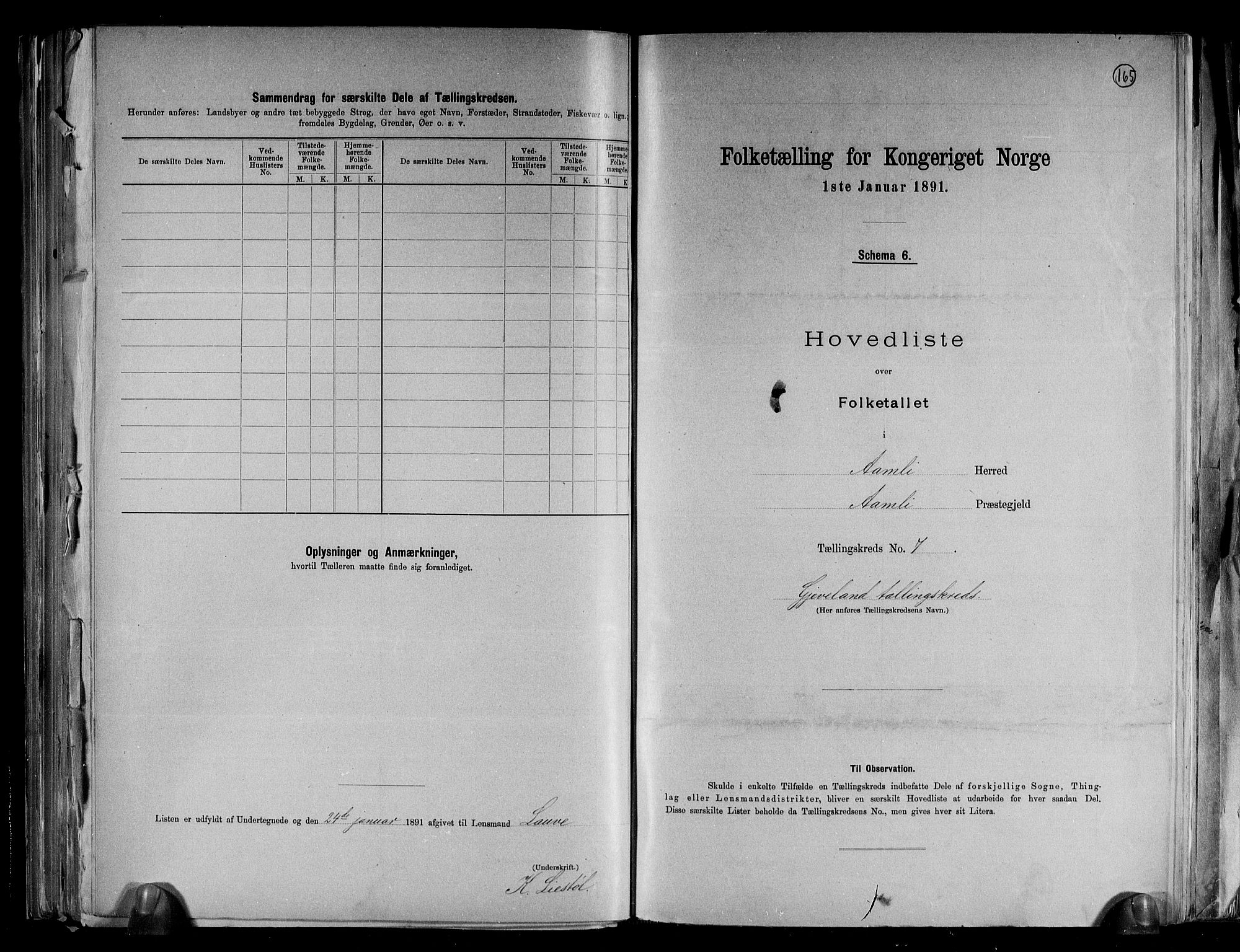 RA, 1891 census for 0929 Åmli, 1891, p. 17