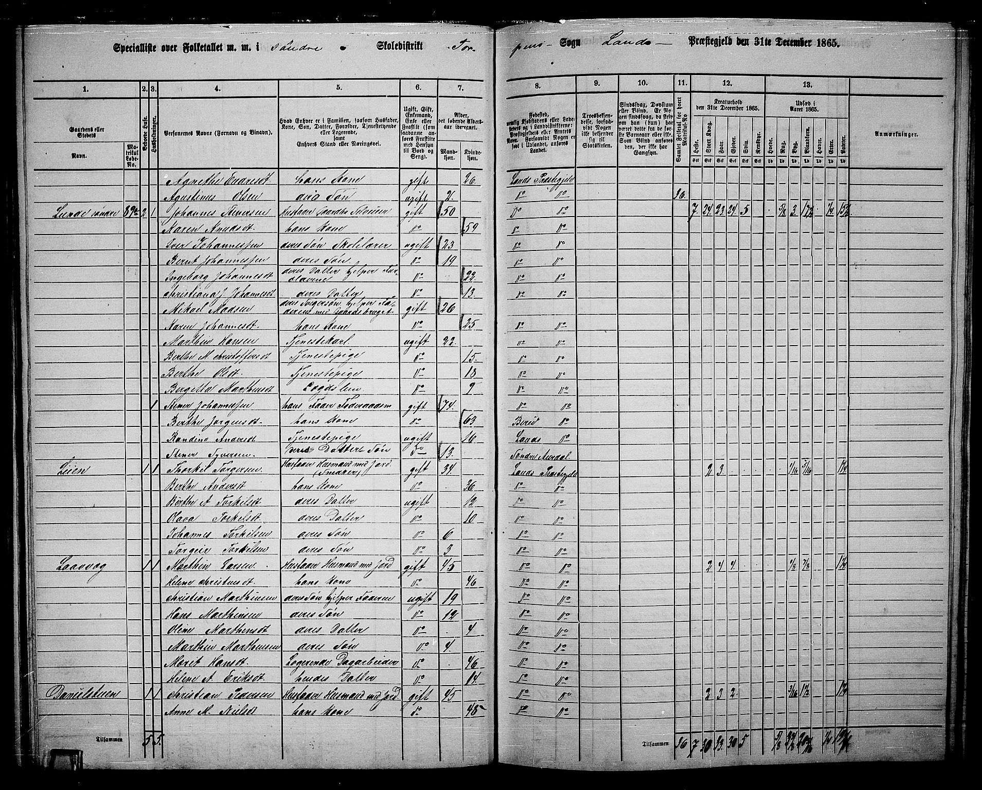 RA, 1865 census for Land, 1865, p. 92