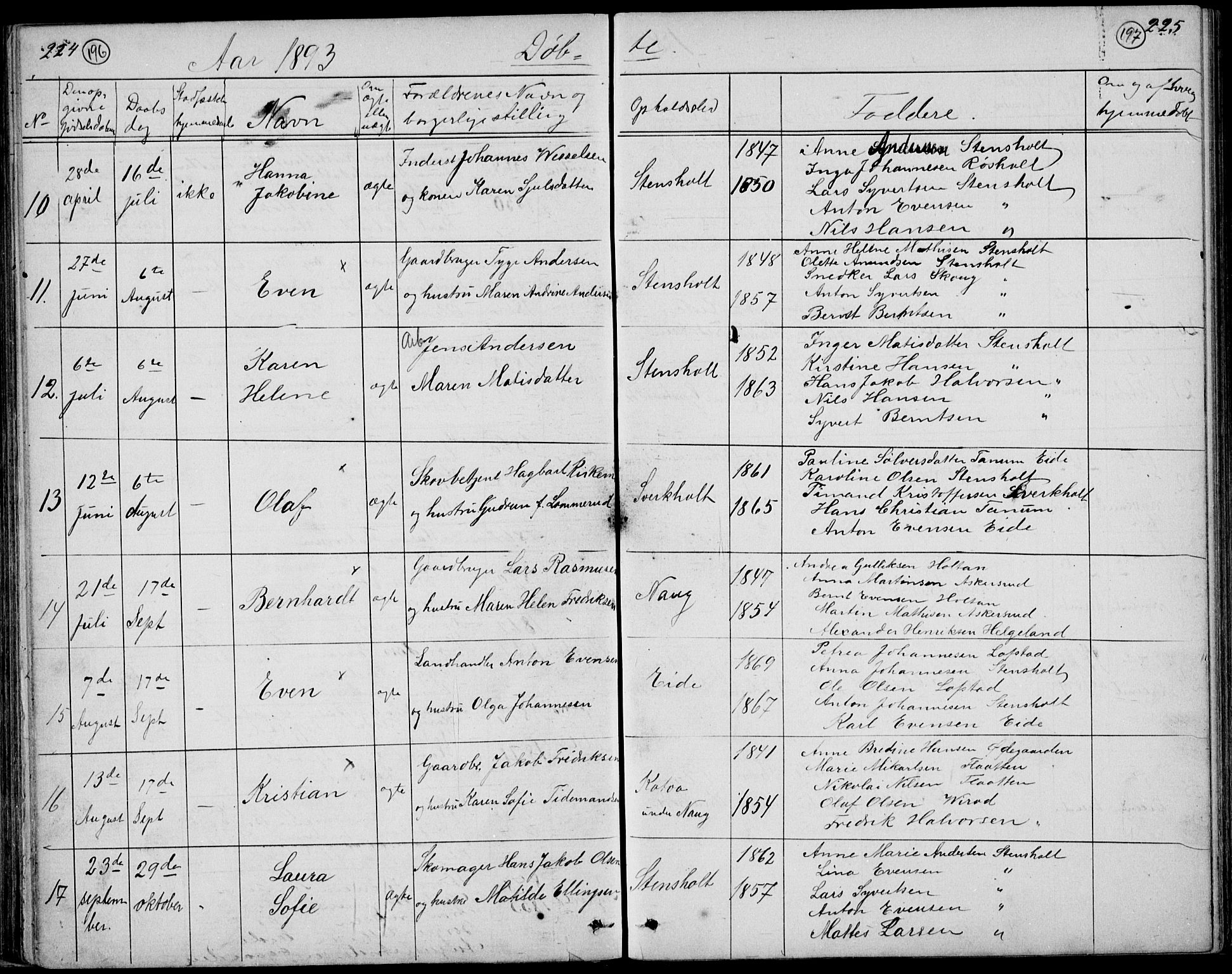 Lardal kirkebøker, AV/SAKO-A-350/G/Gc/L0001: Parish register (copy) no. III 1, 1859-1893, p. 224-225