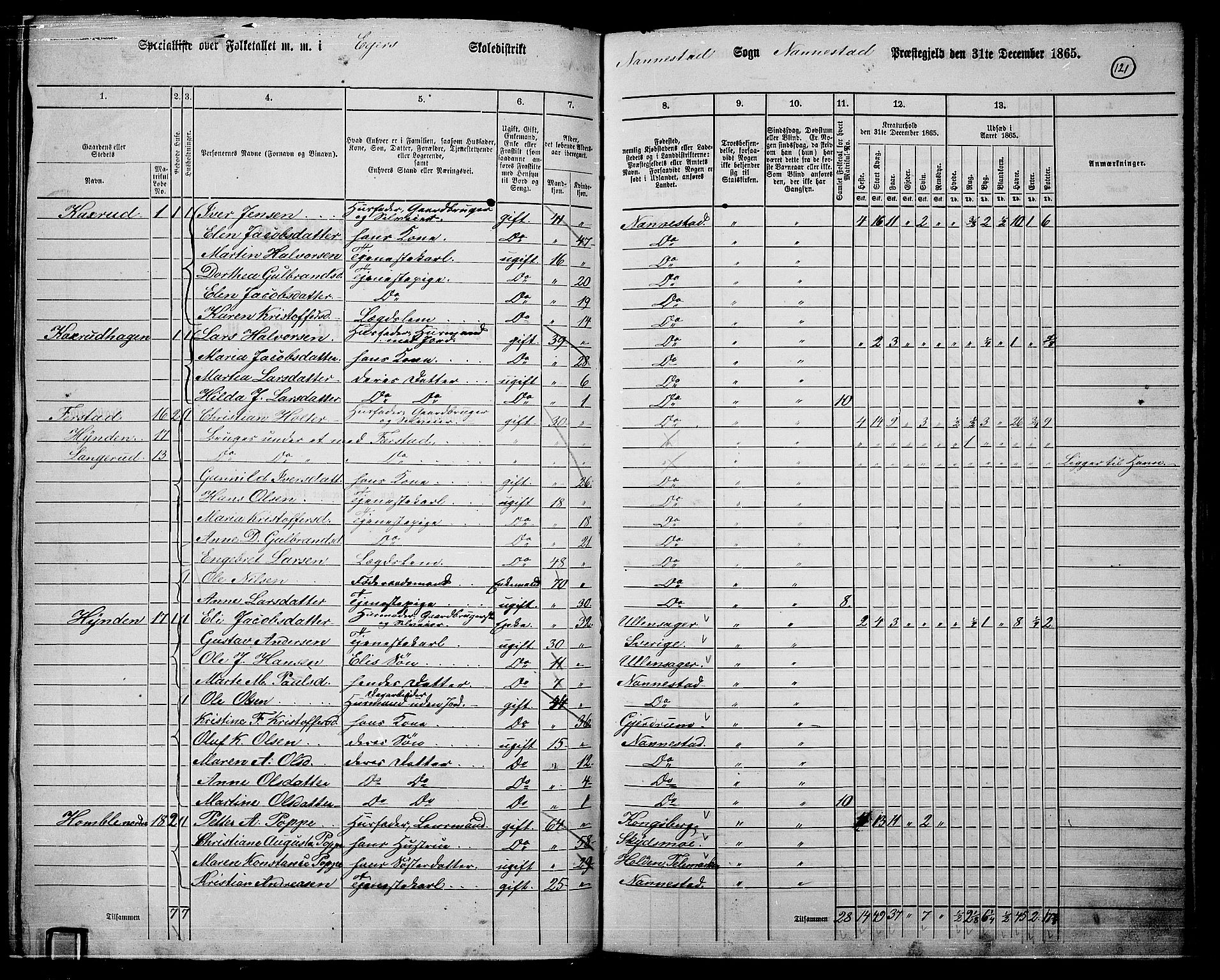 RA, 1865 census for Nannestad, 1865, p. 7