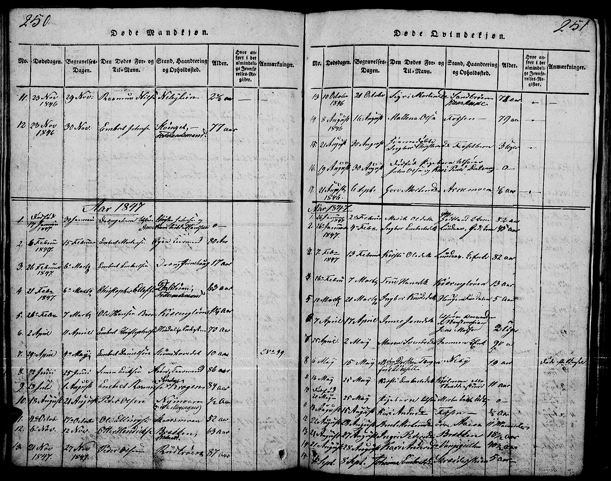 Tynset prestekontor, AV/SAH-PREST-058/H/Ha/Hab/L0001: Parish register (copy) no. 1, 1814-1859, p. 250-251