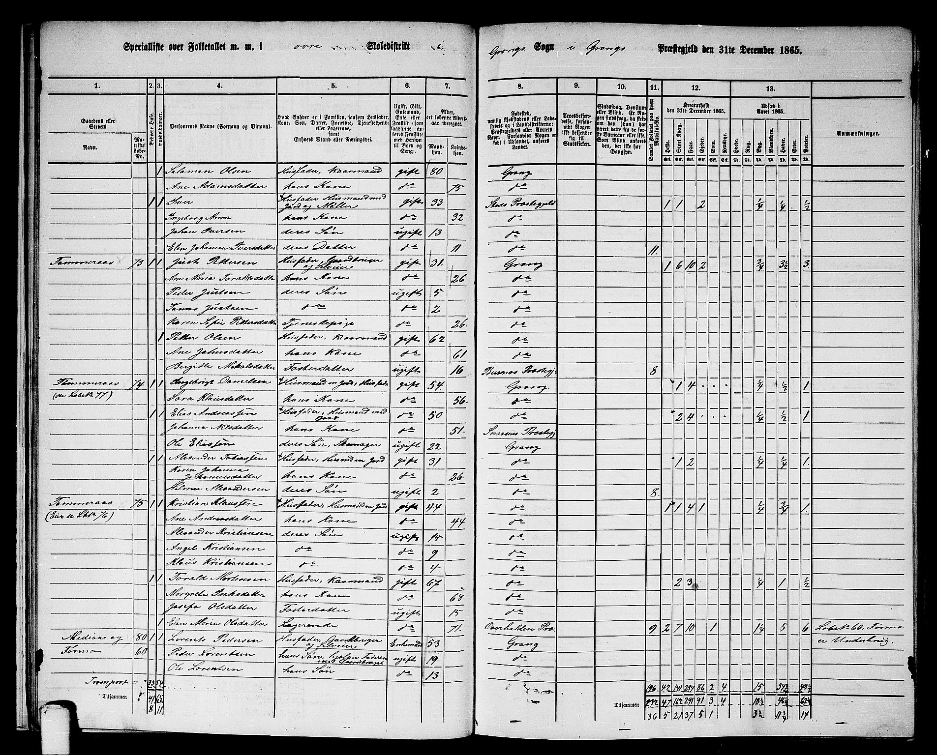 RA, 1865 census for Grong, 1865, p. 20