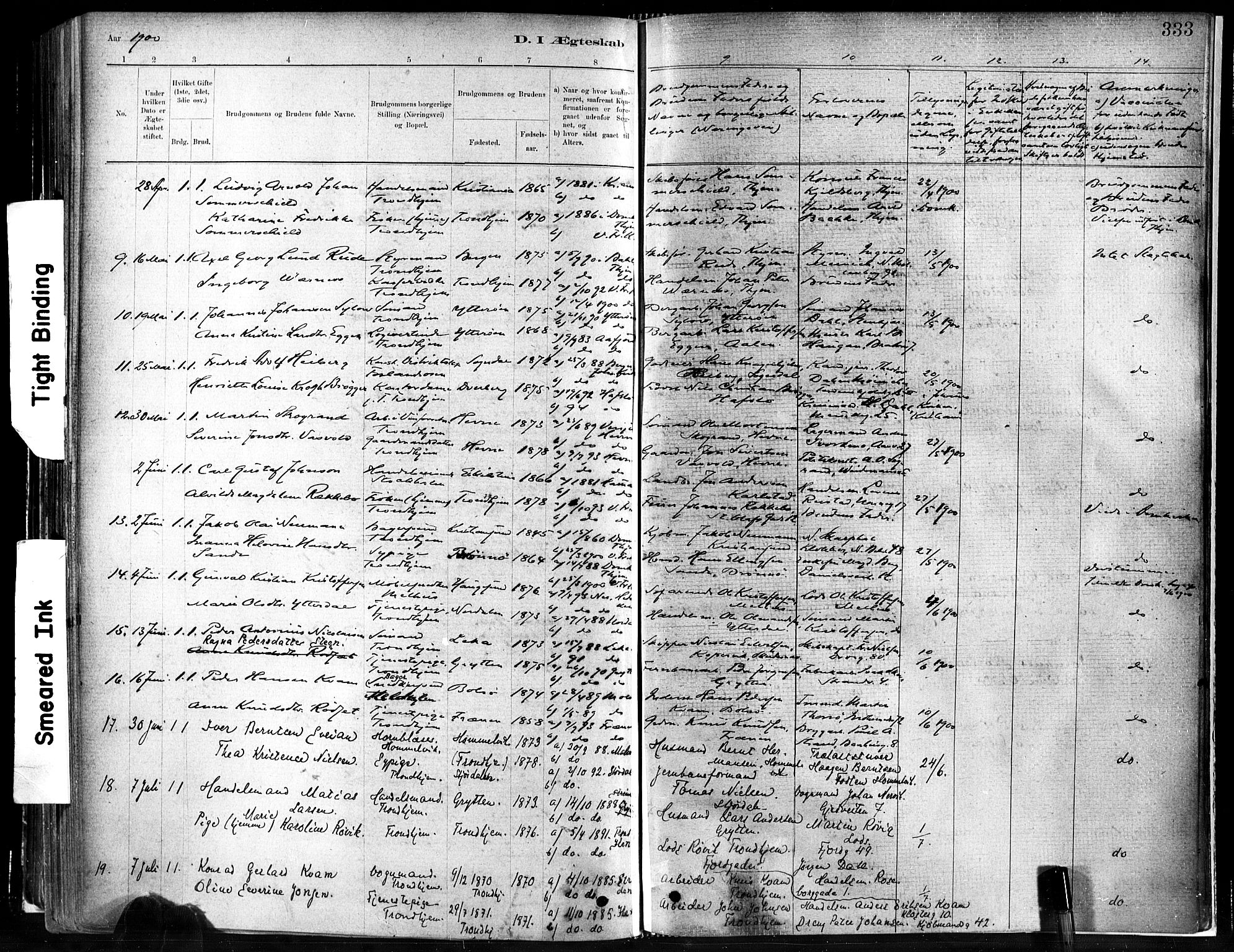 Ministerialprotokoller, klokkerbøker og fødselsregistre - Sør-Trøndelag, SAT/A-1456/602/L0119: Parish register (official) no. 602A17, 1880-1901, p. 333