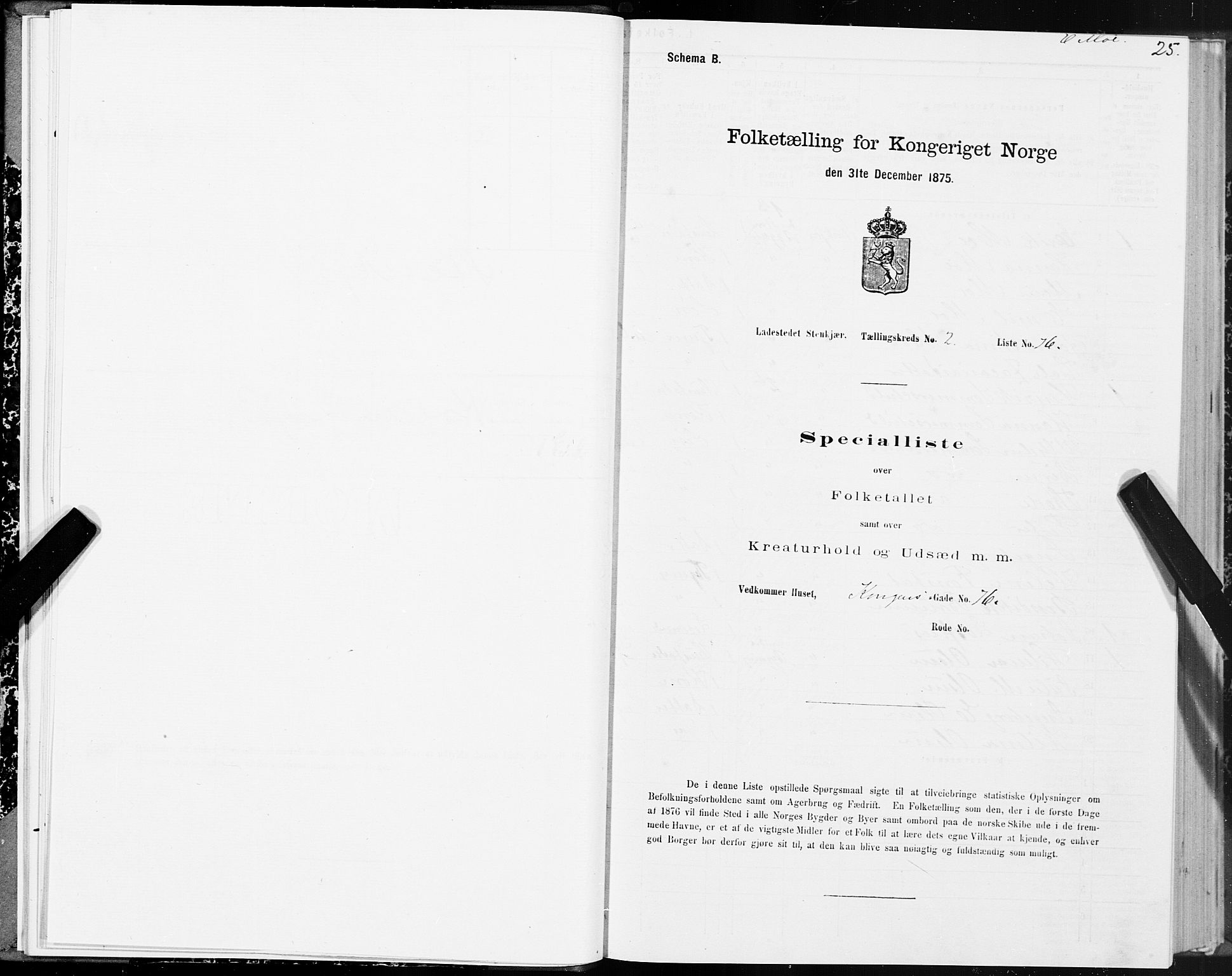 SAT, 1875 census for 1702B Steinkjer/Steinkjer, 1875, p. 25